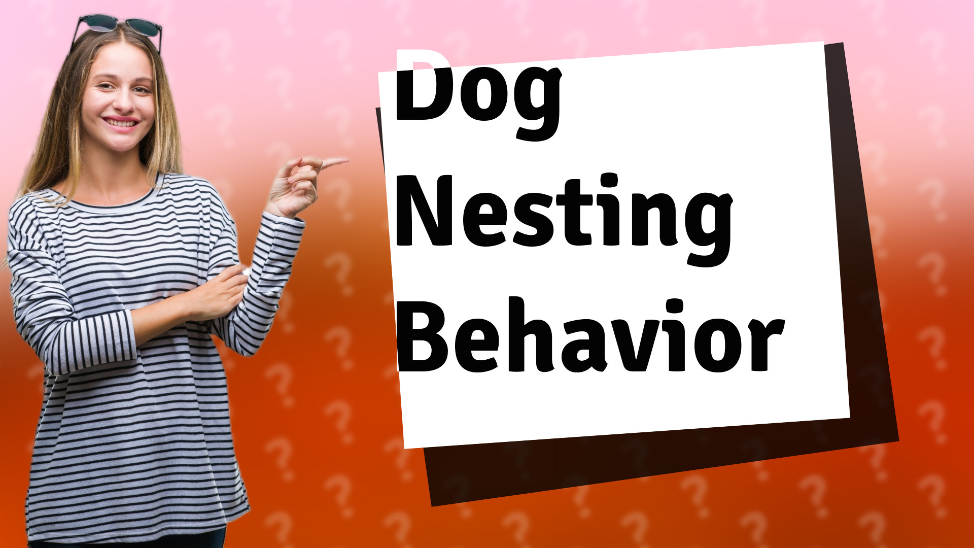 Dog Nesting Behavior