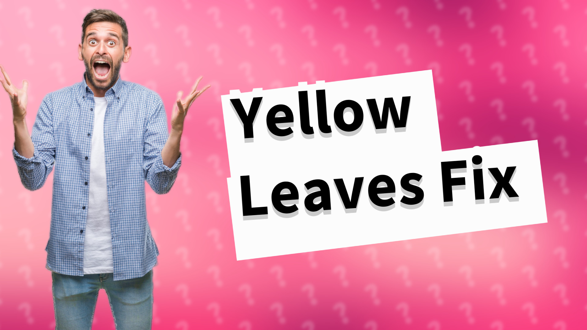 Yellow Leaves Fix