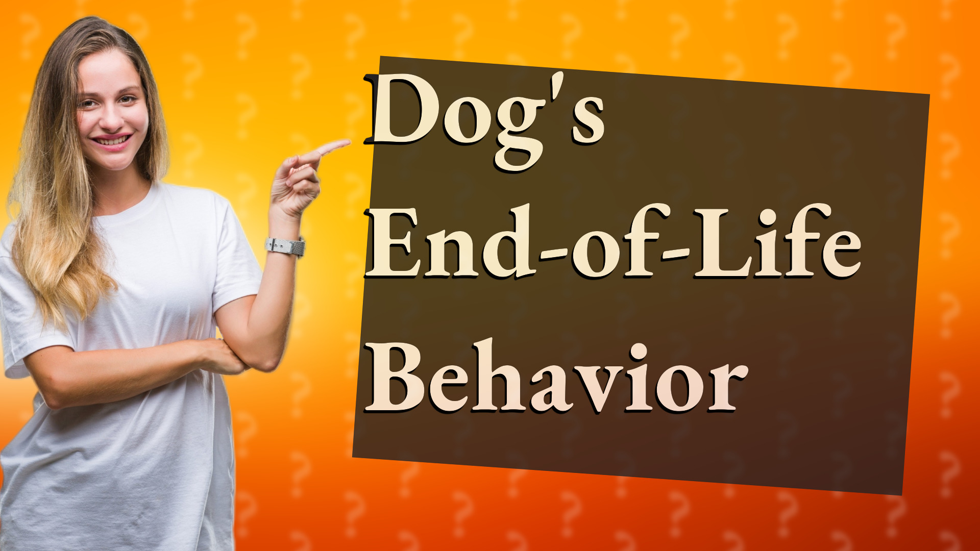 Dog's End-of-Life Behavior