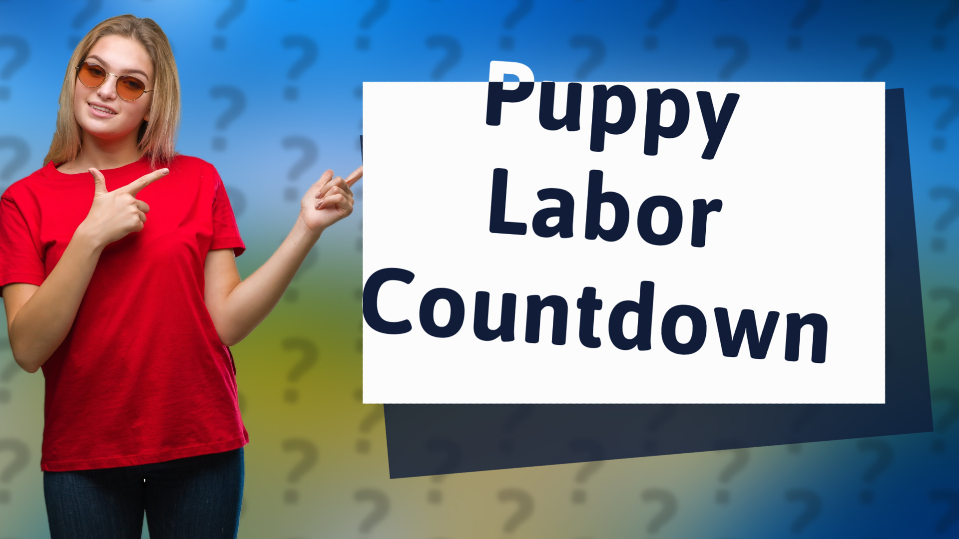 Puppy Labor Countdown