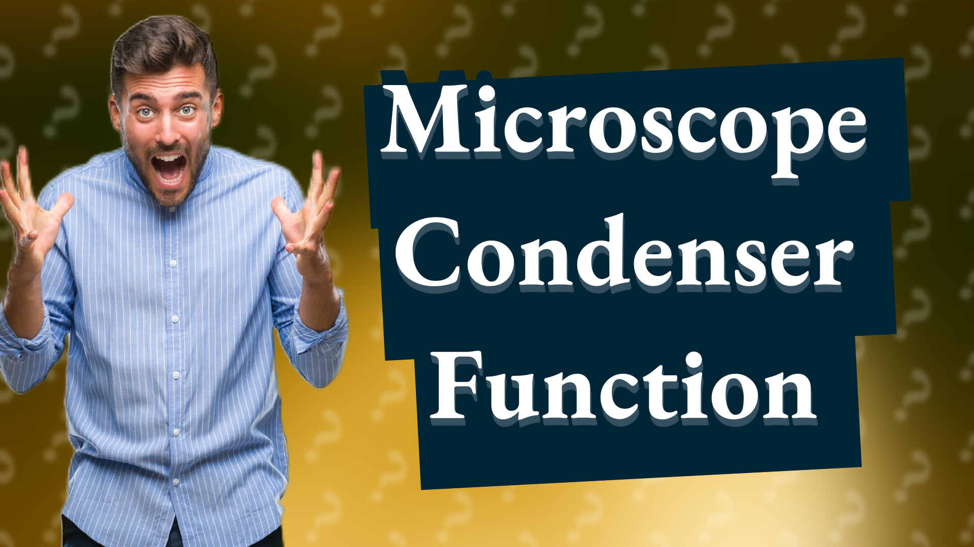Microscope Condenser Function