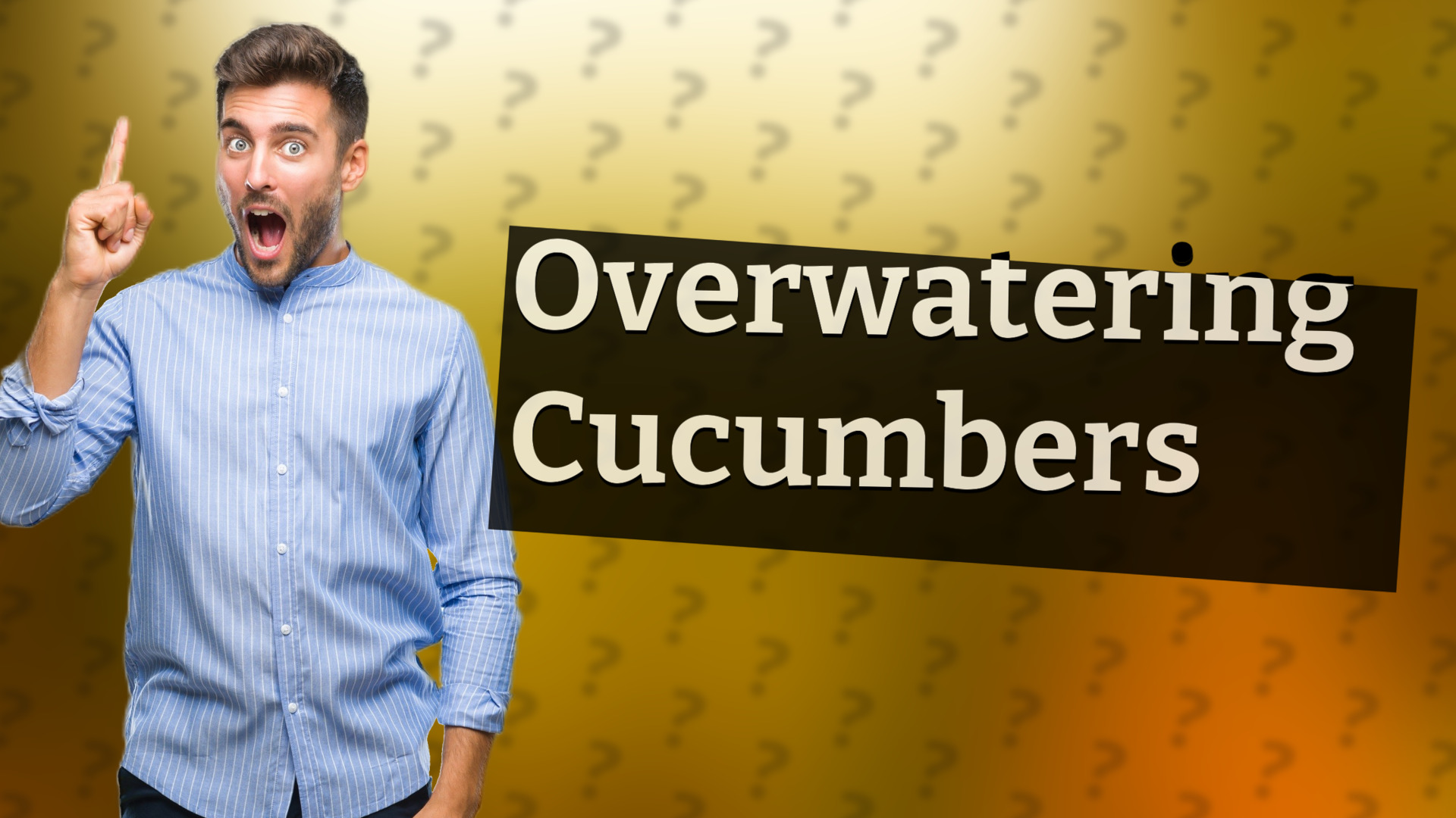 Overwatering Cucumbers