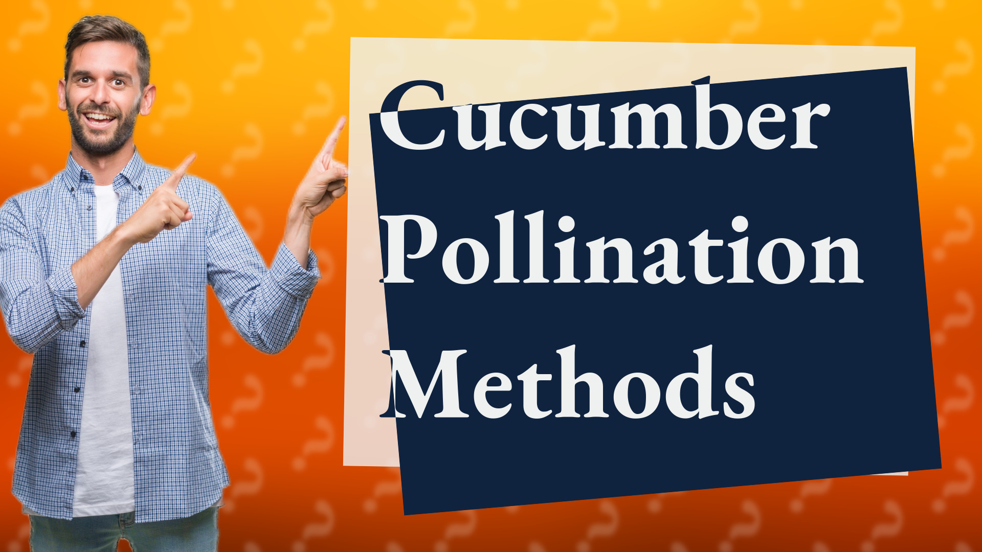 Cucumber Pollination Methods