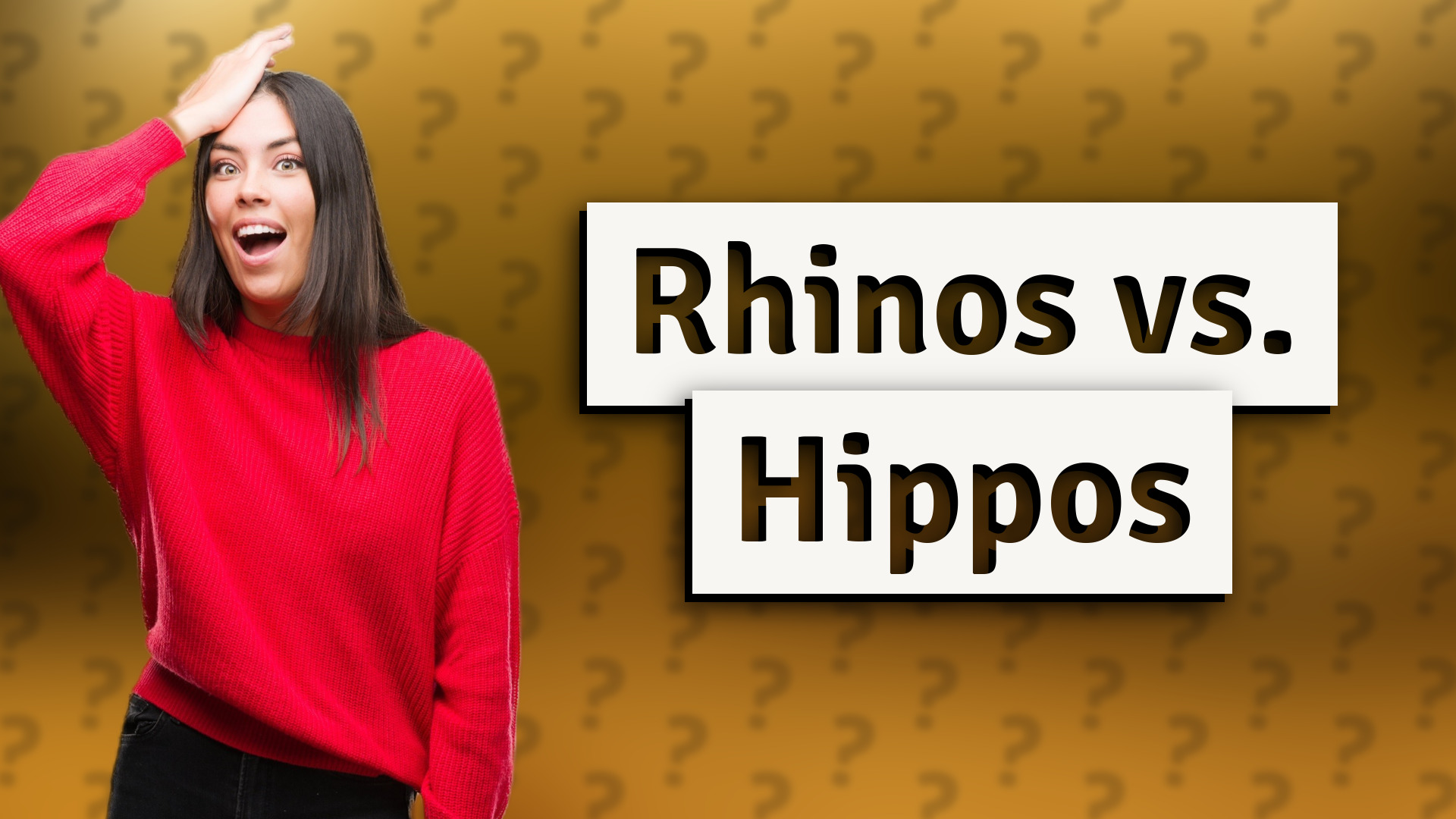 Rhinos vs. Hippos
