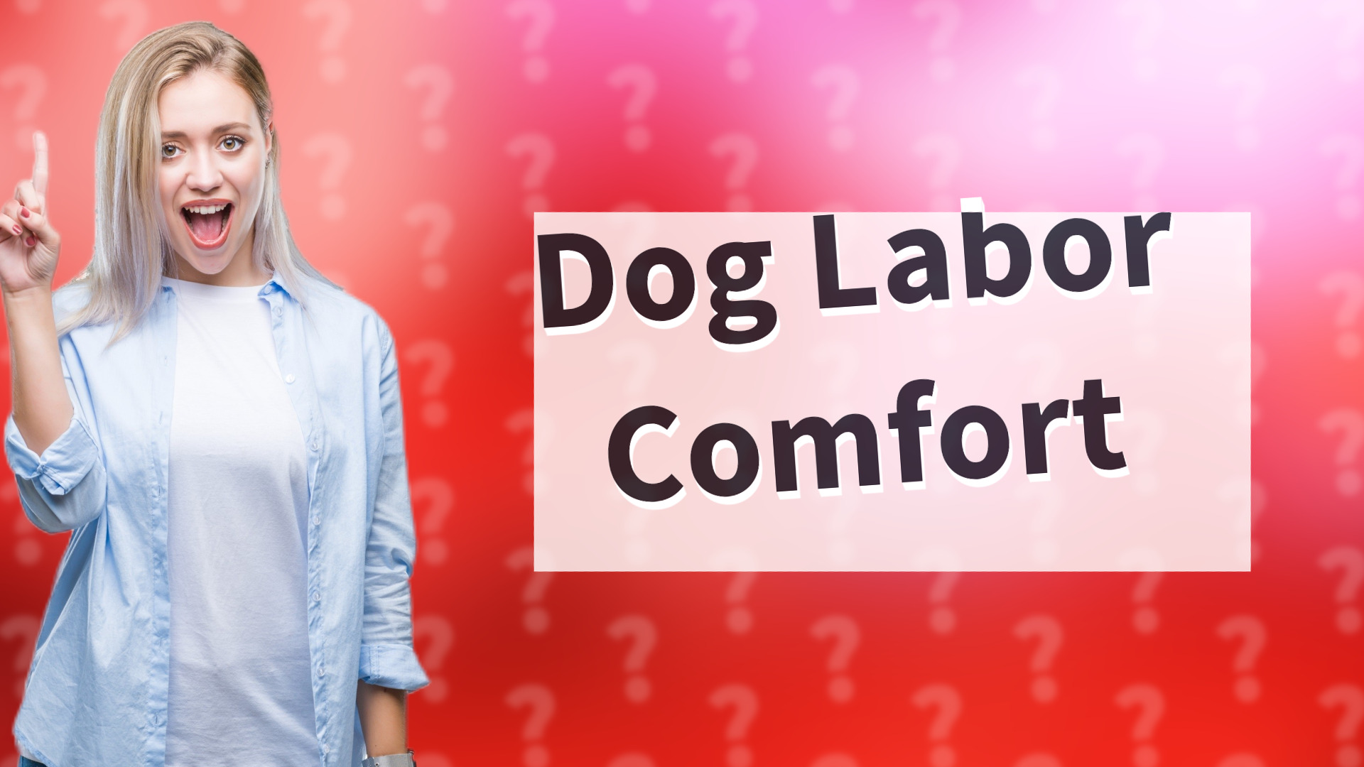 Dog Labor Comfort