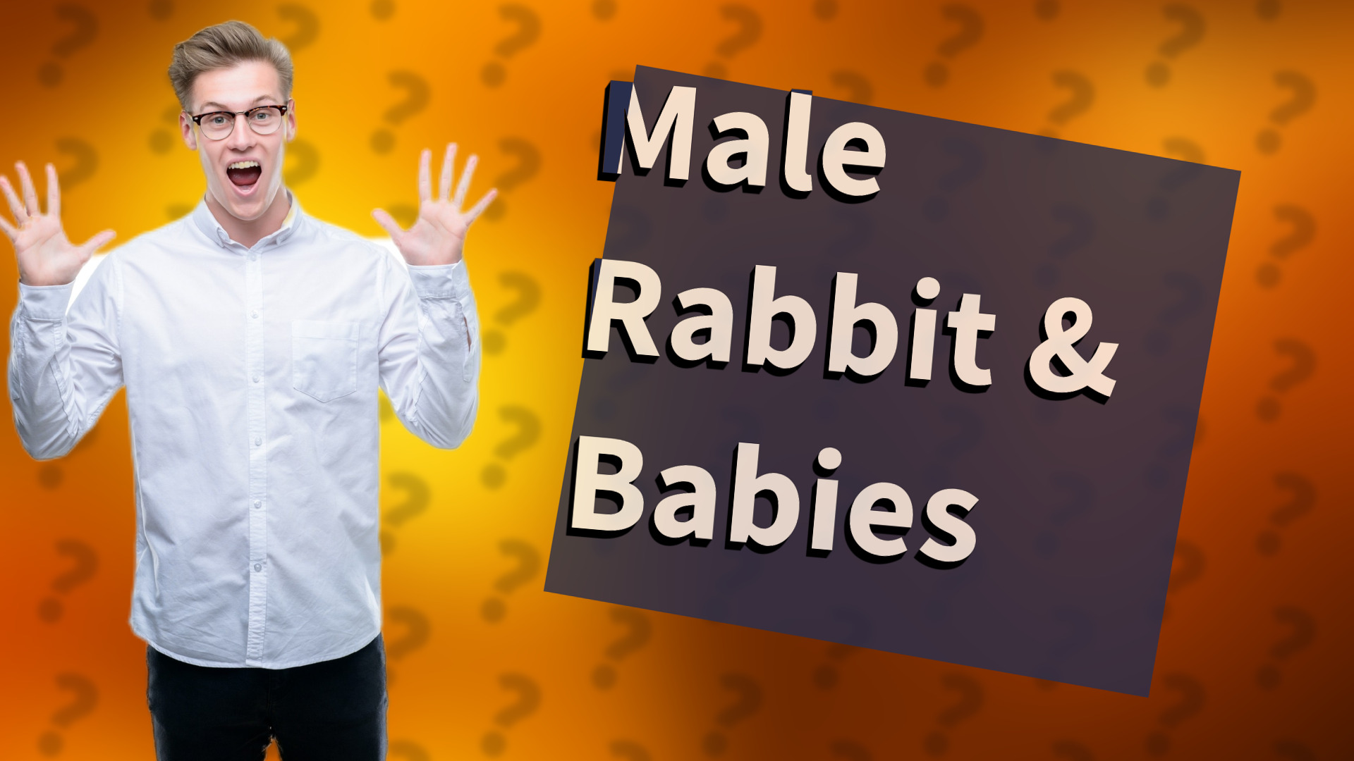 Male Rabbit & Babies