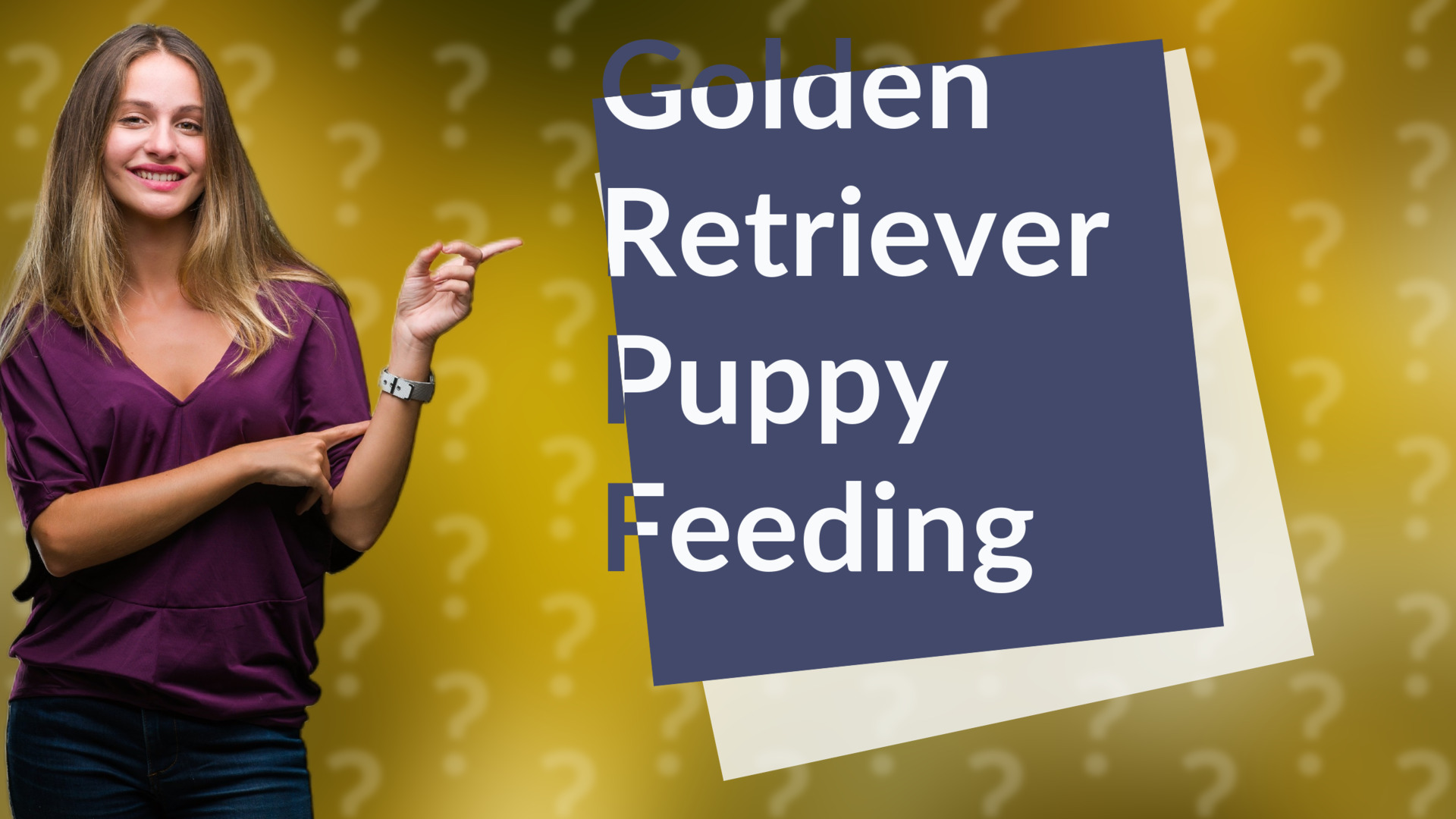 Golden Retriever Puppy Feeding