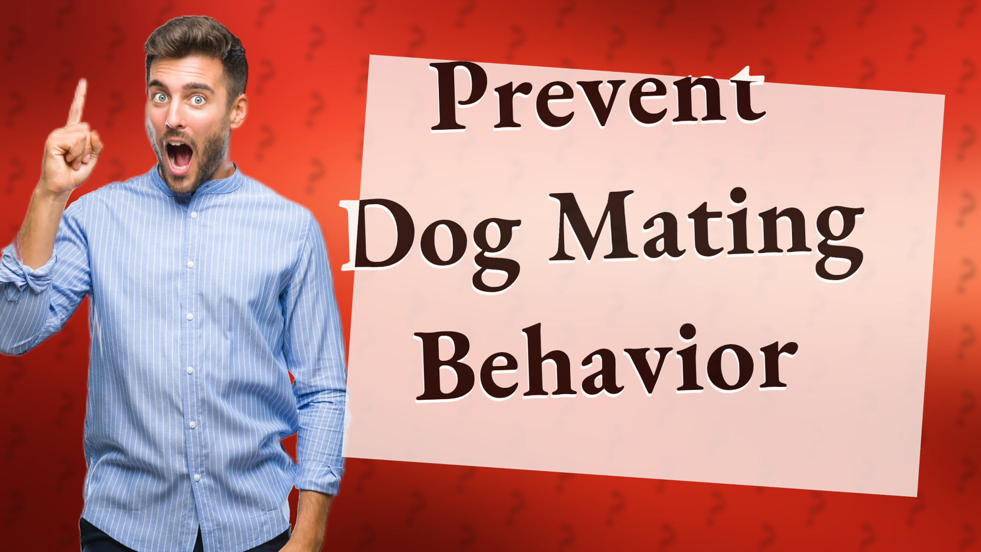 Prevent Dog Mating Behavior