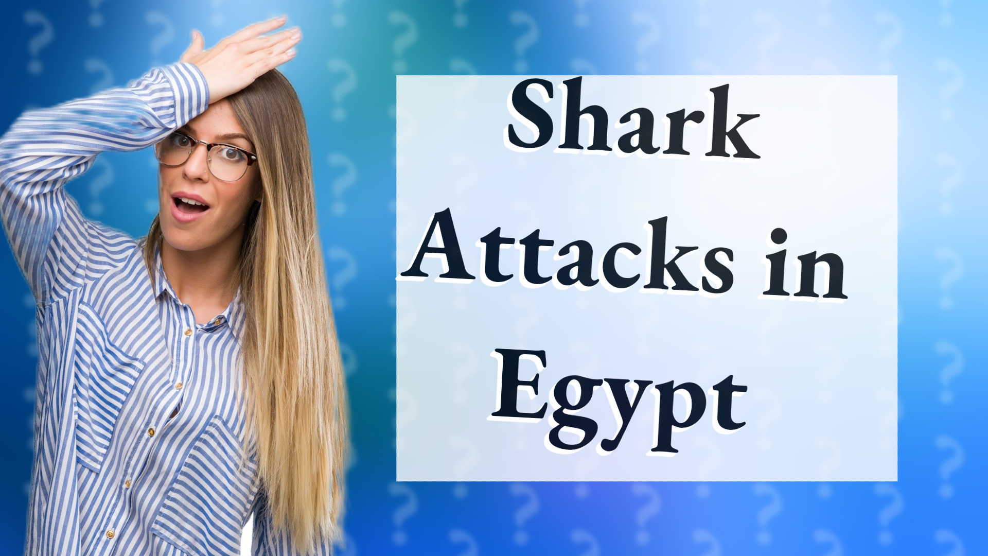 Shark Attacks in Egypt