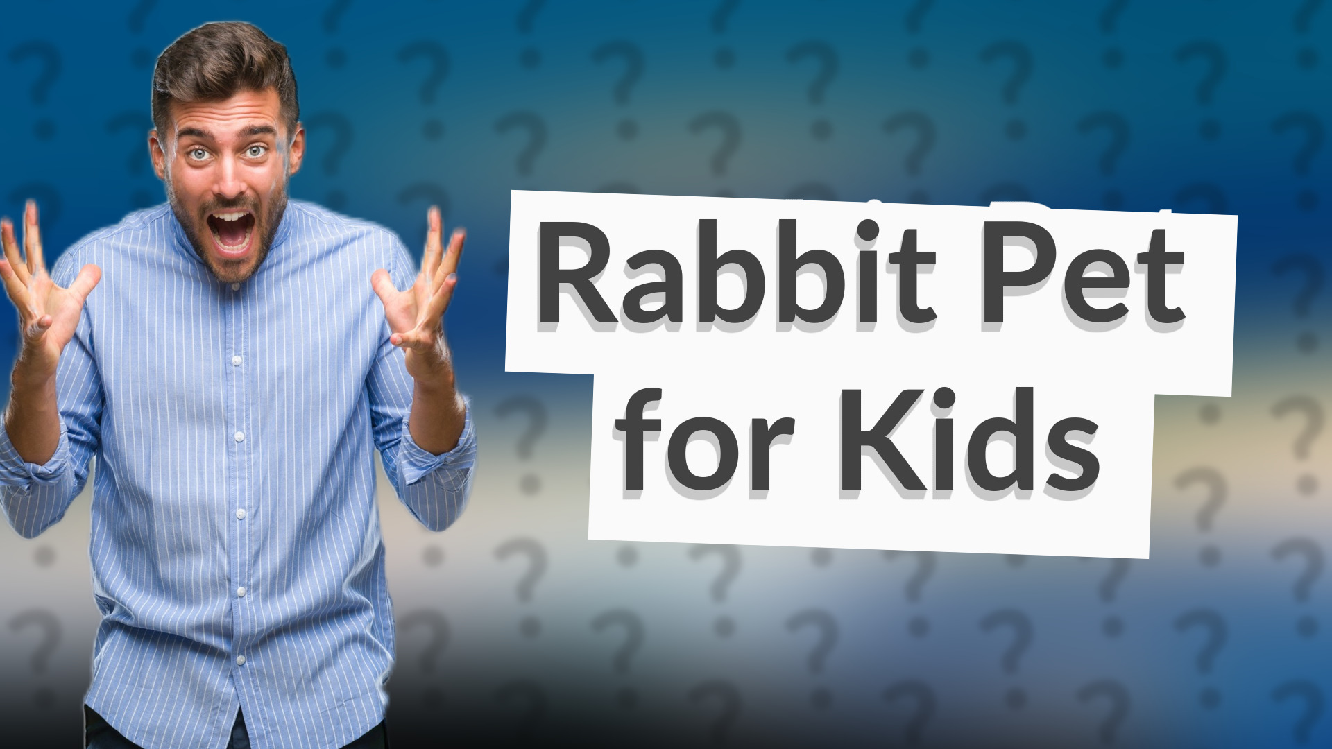 Rabbit Pet for Kids