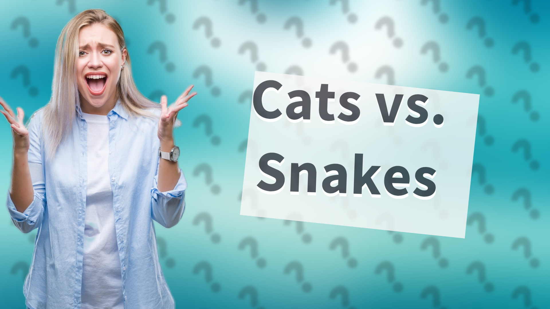 Cats vs. Snakes