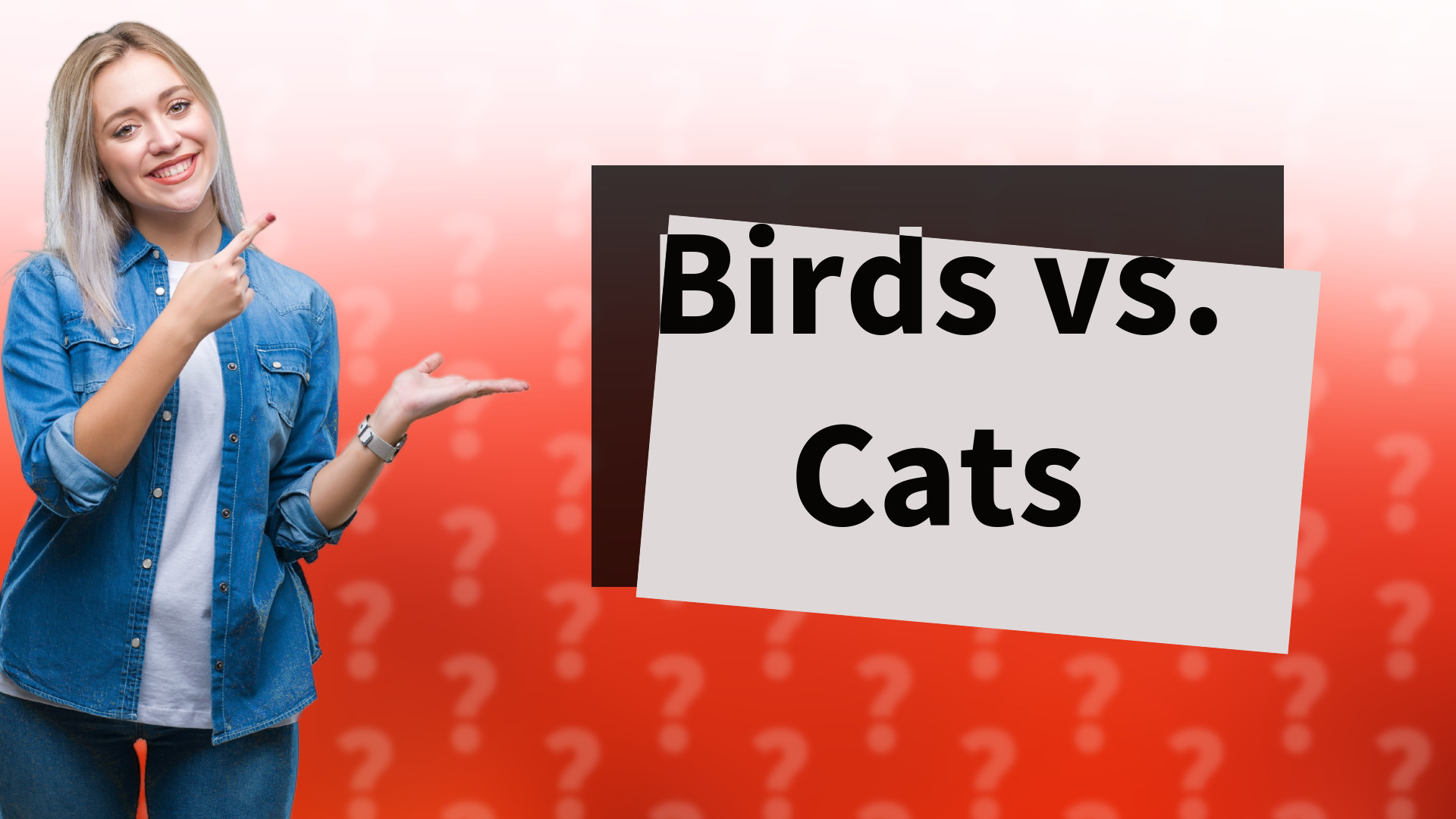 Birds vs. Cats