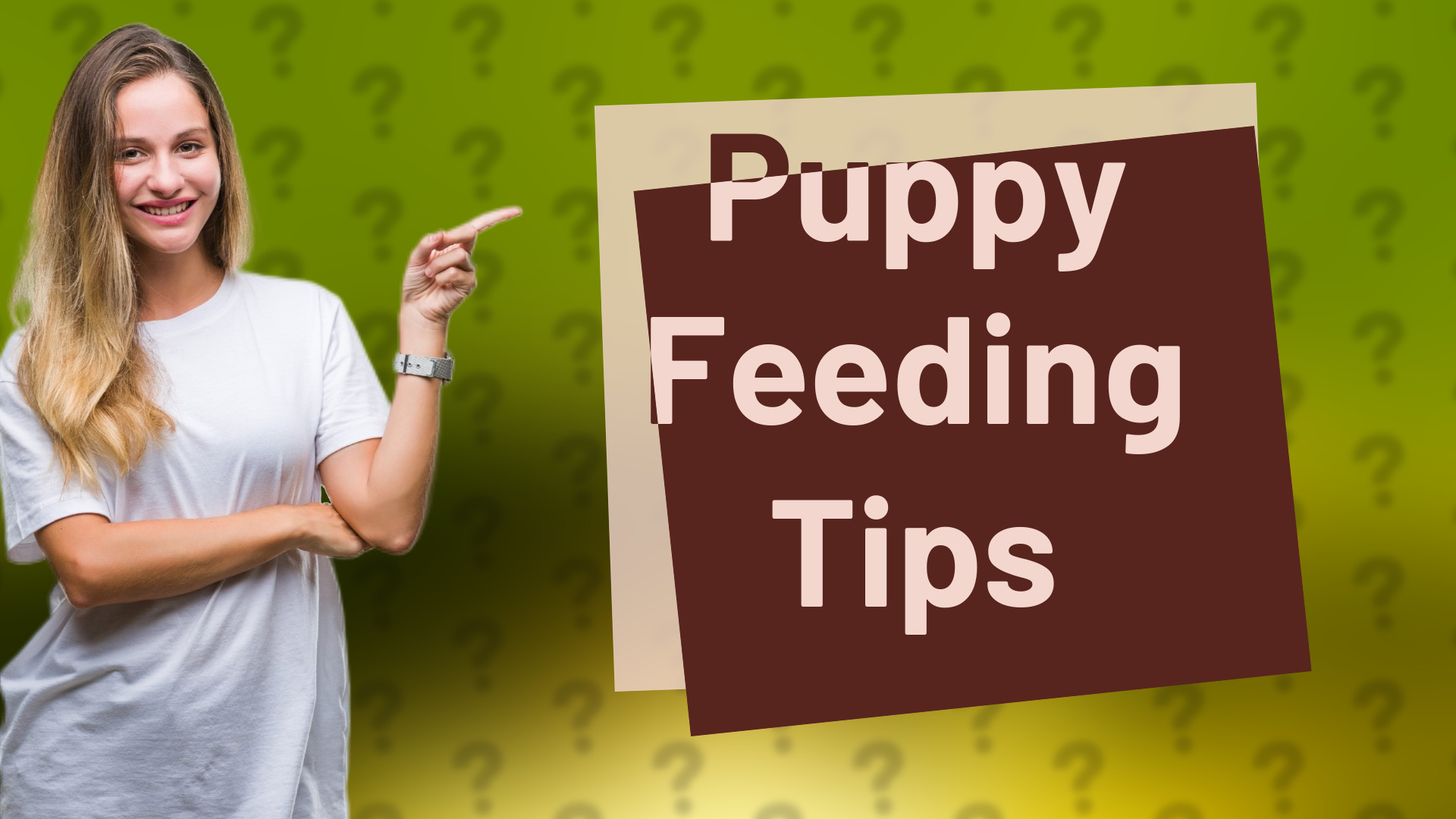 Puppy Feeding Tips