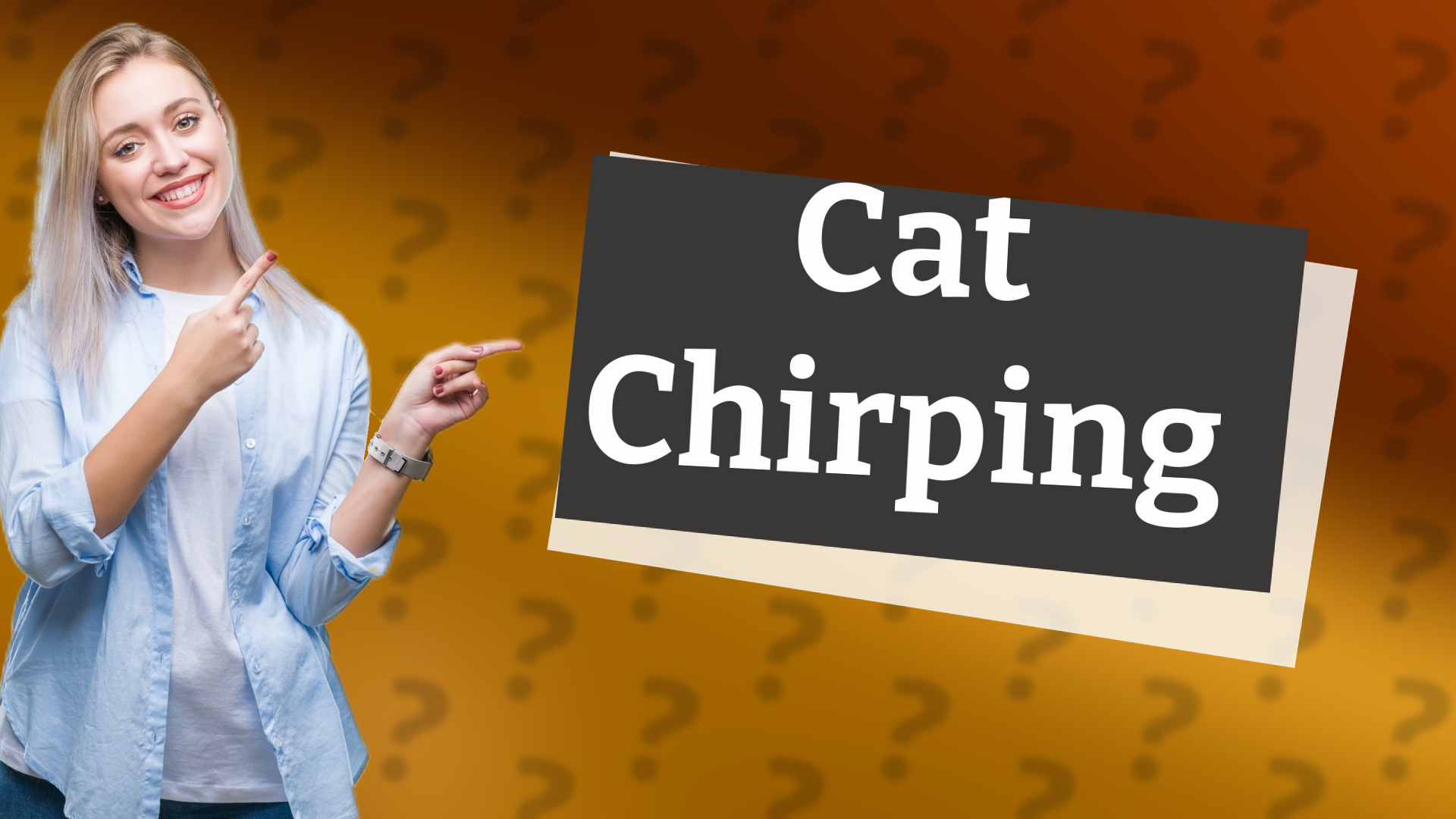 Cat Chirping