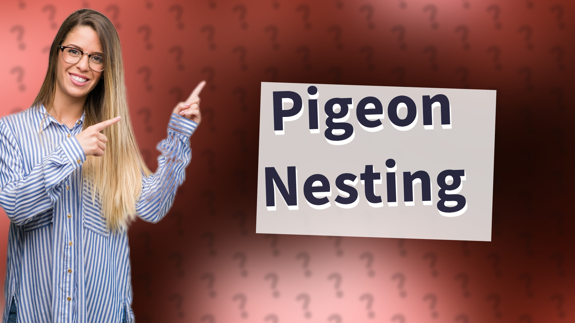 Pigeon Nesting