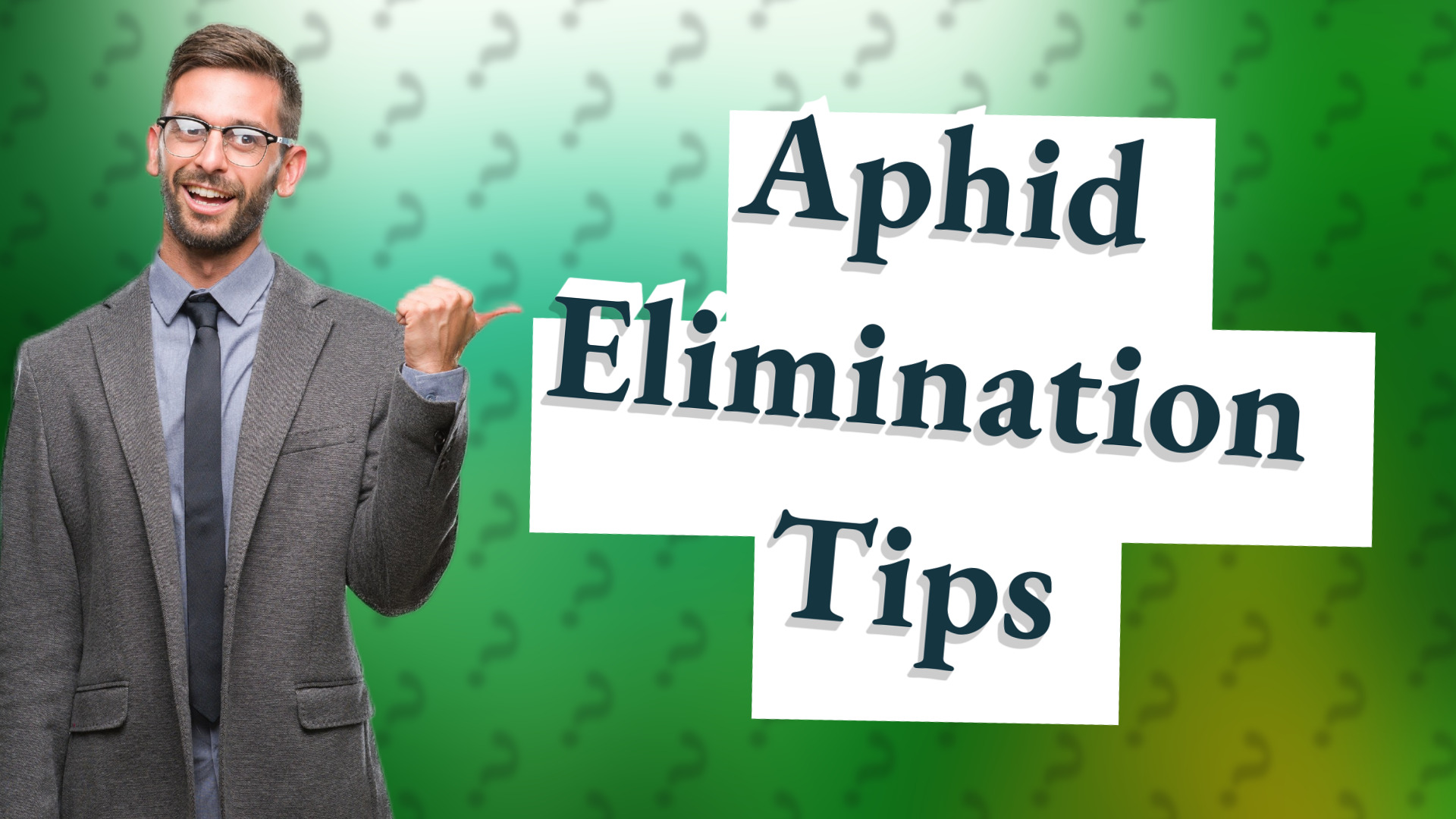 Aphid Elimination Tips