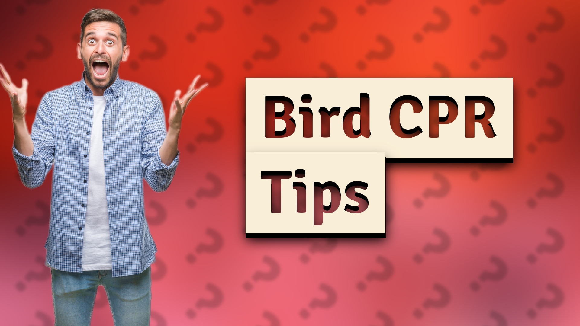Bird CPR Tips