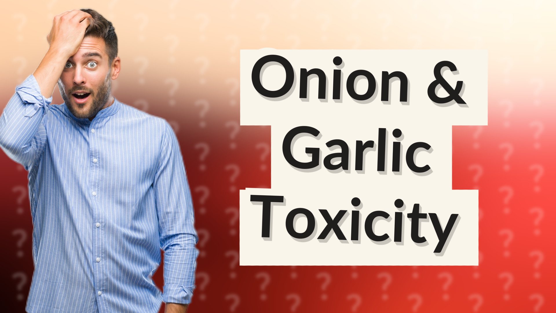 Onion & Garlic Toxicity