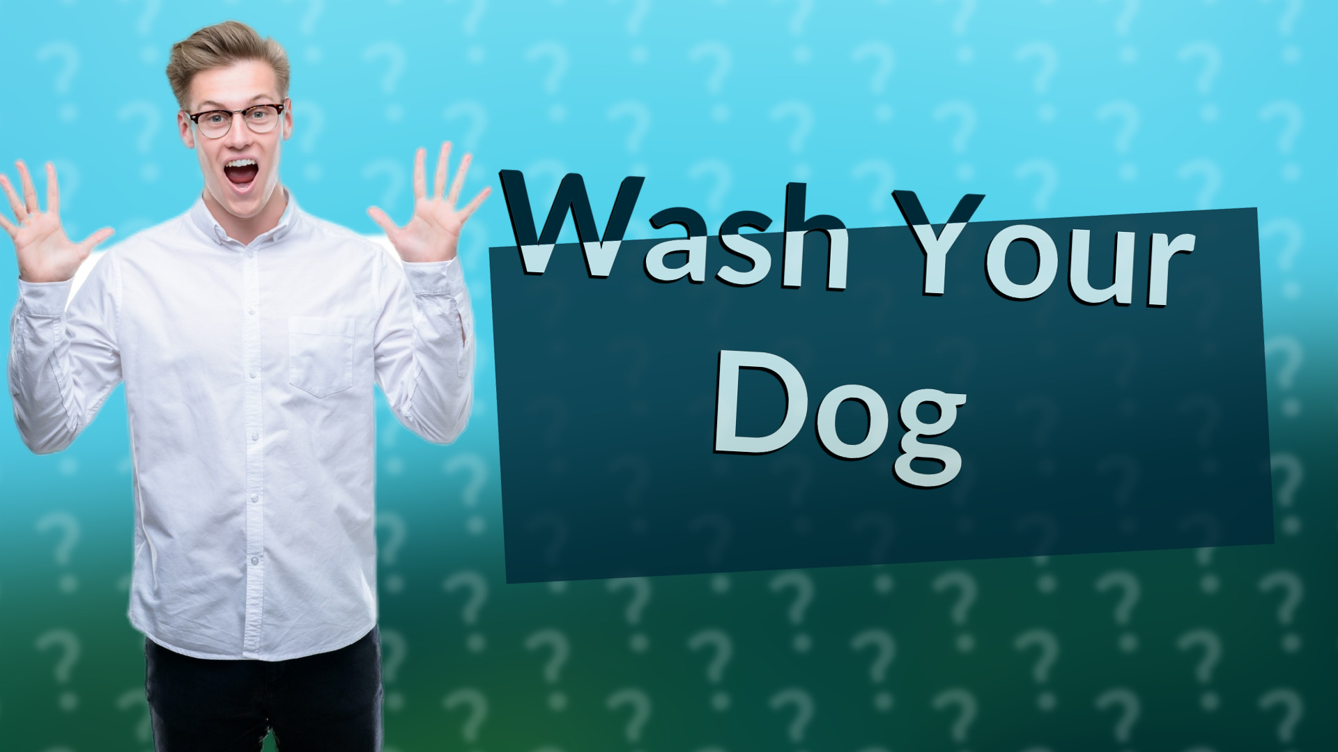 Wash Your Dog