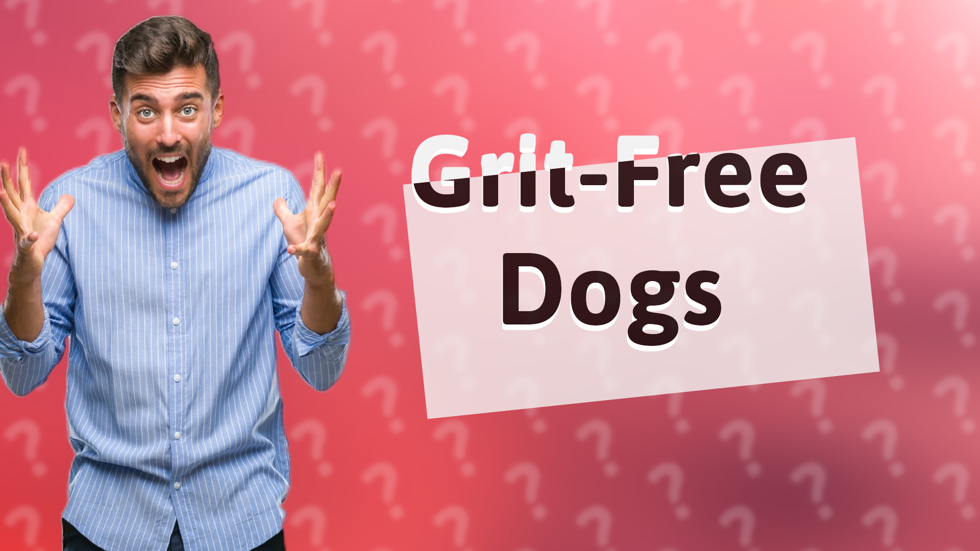 Grit-Free Dogs