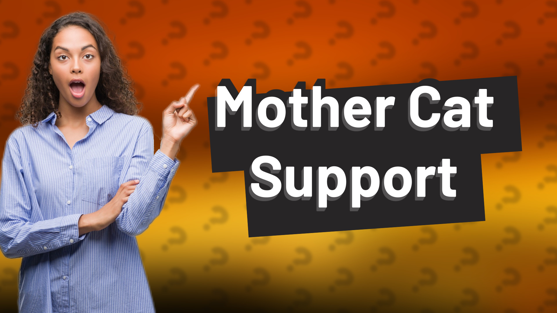 Mother Cat Support