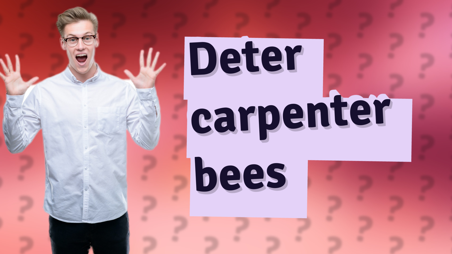 Deter carpenter bees