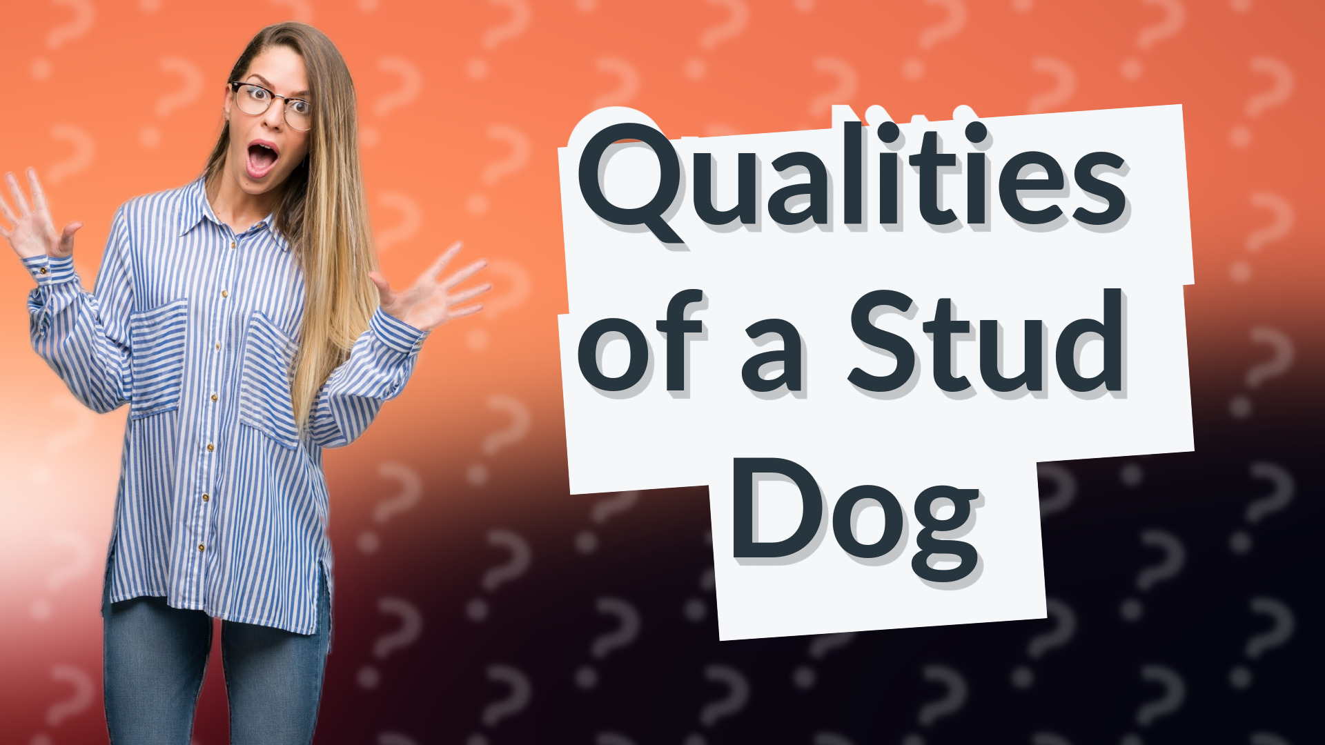 Qualities of a Stud Dog