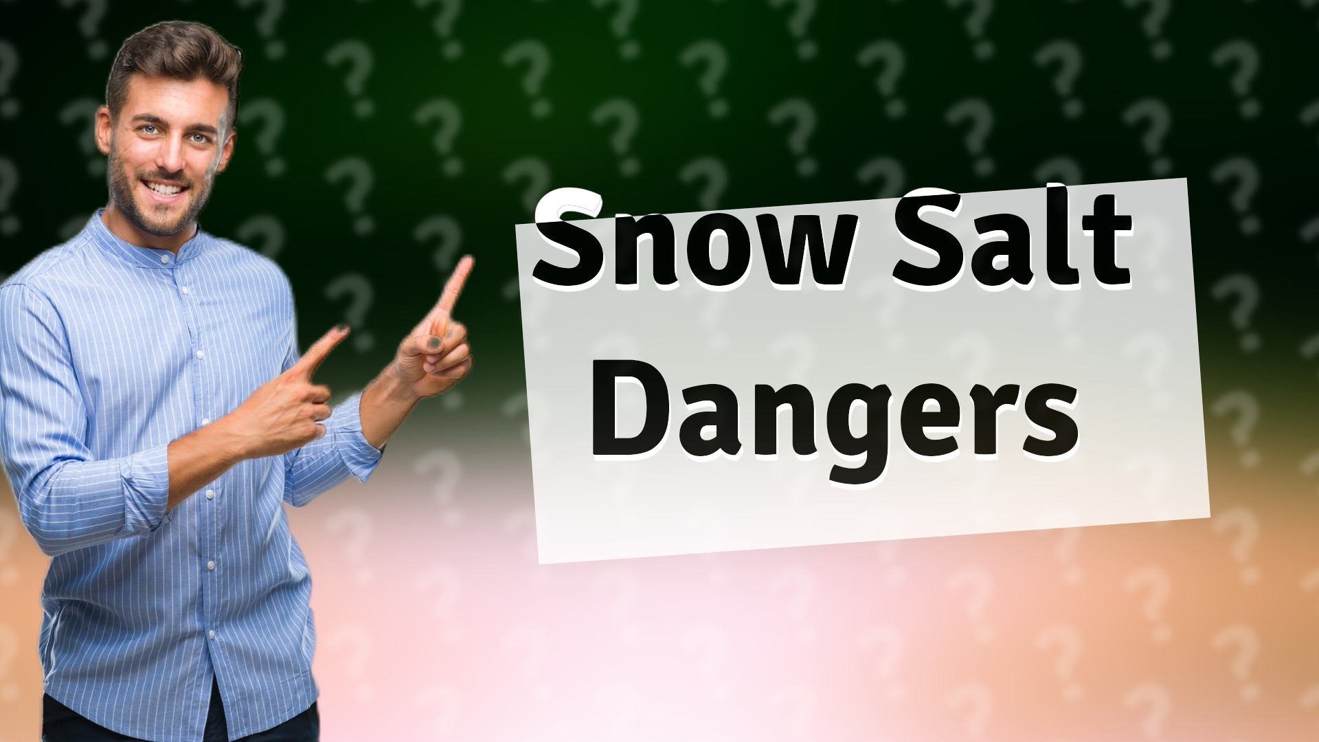 Snow Salt Dangers