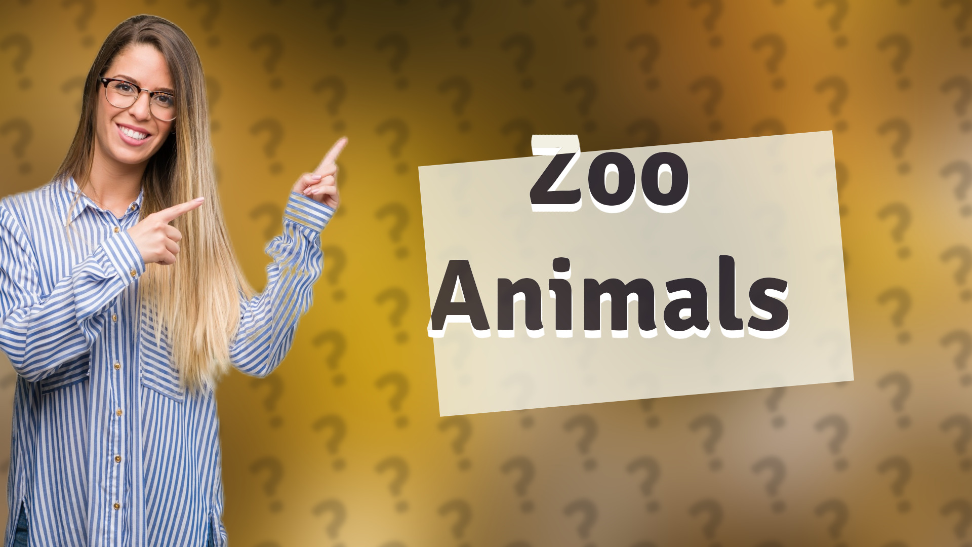 Zoo Animals