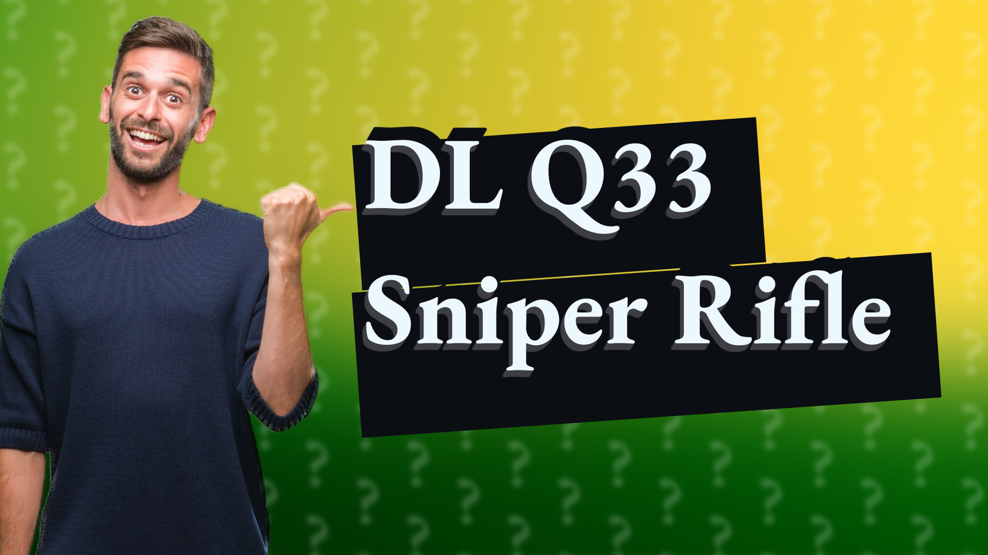 DL Q33 Sniper Rifle