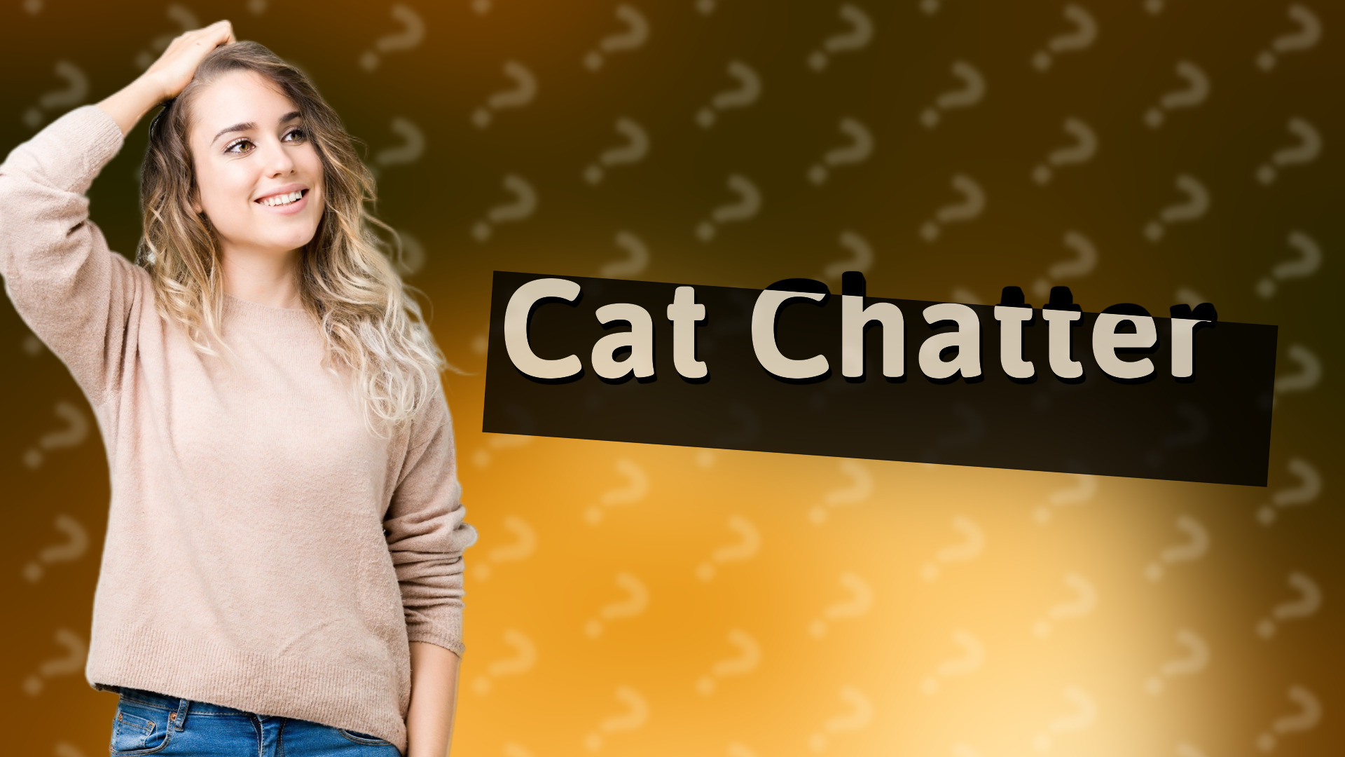 Cat Chatter