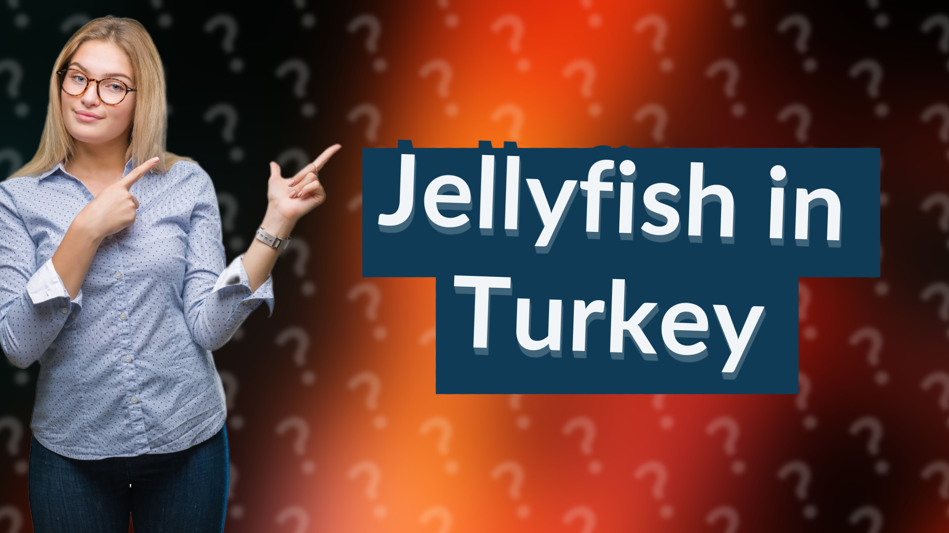 Jellyfish in Turkey