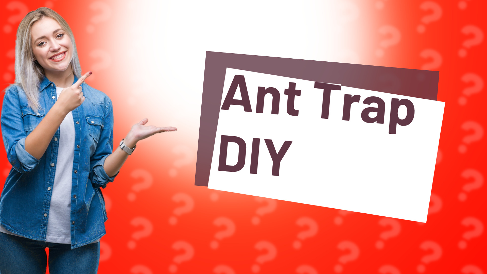 Ant Trap DIY