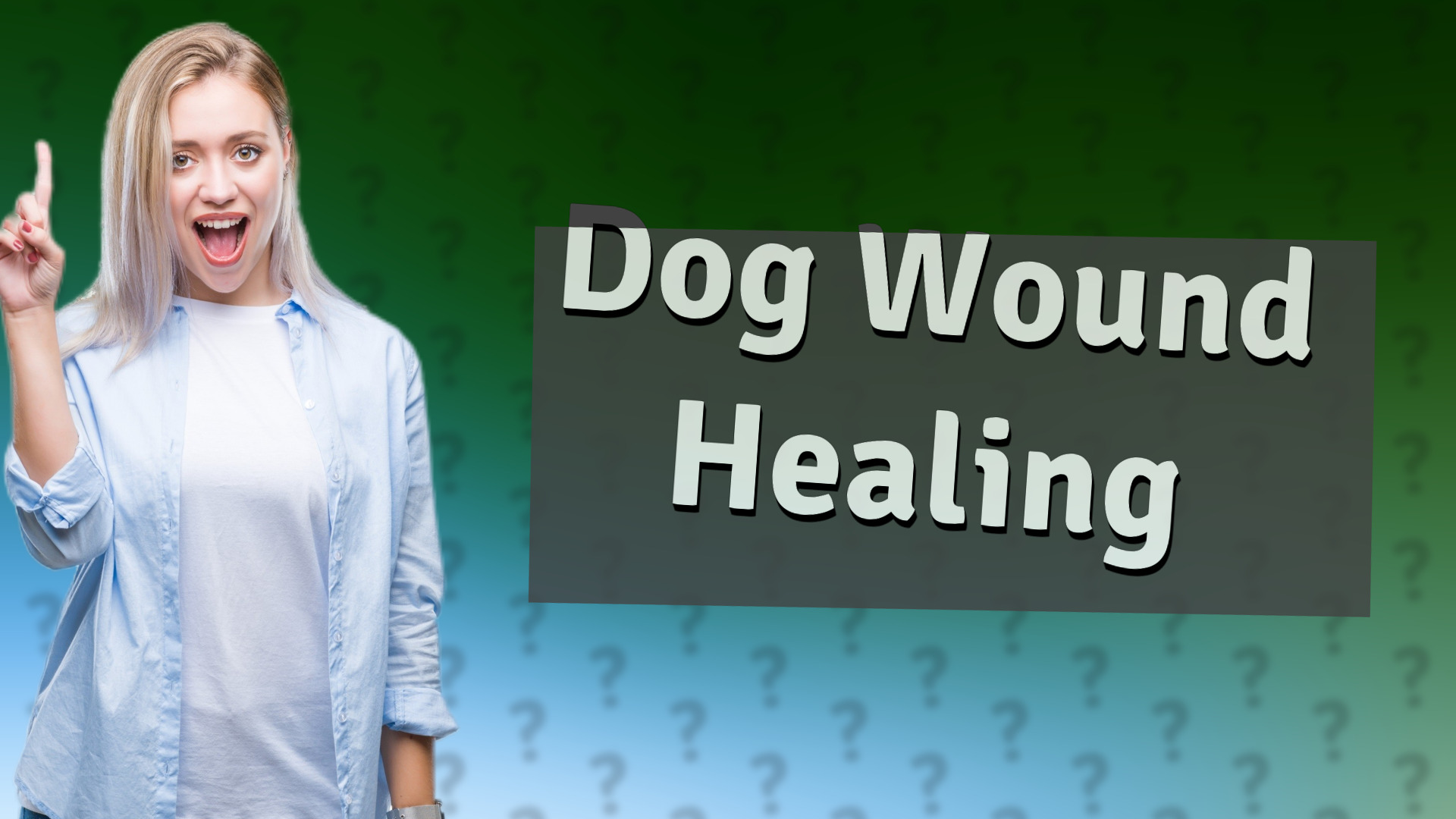 Dog Wound Healing