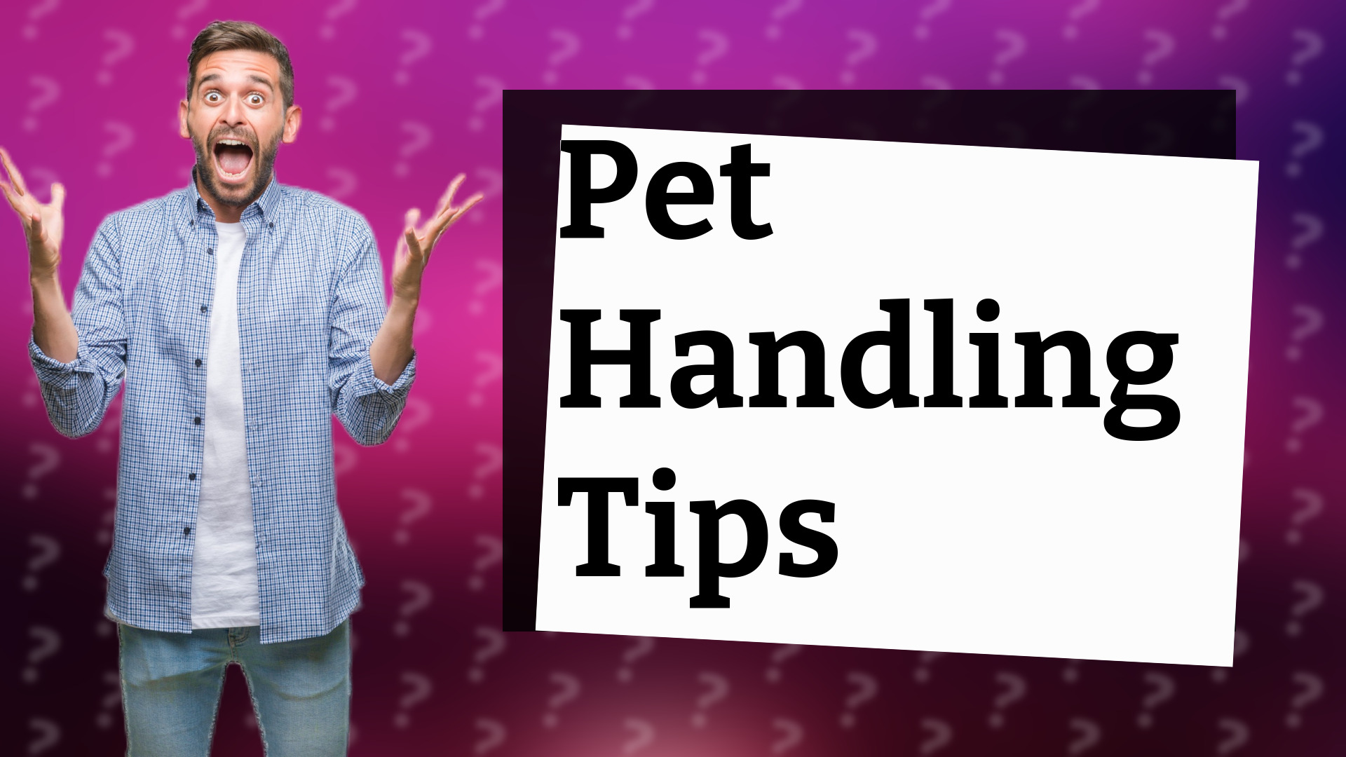 Pet Handling Tips