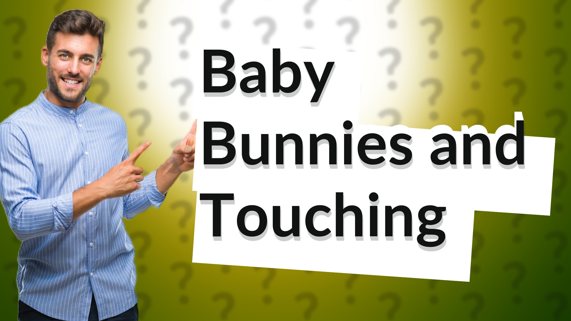 Baby Bunnies and Touching