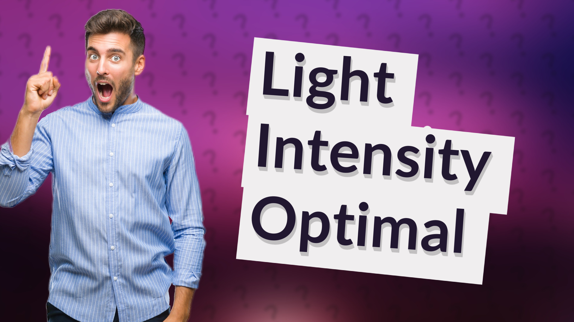 Light Intensity Optimal