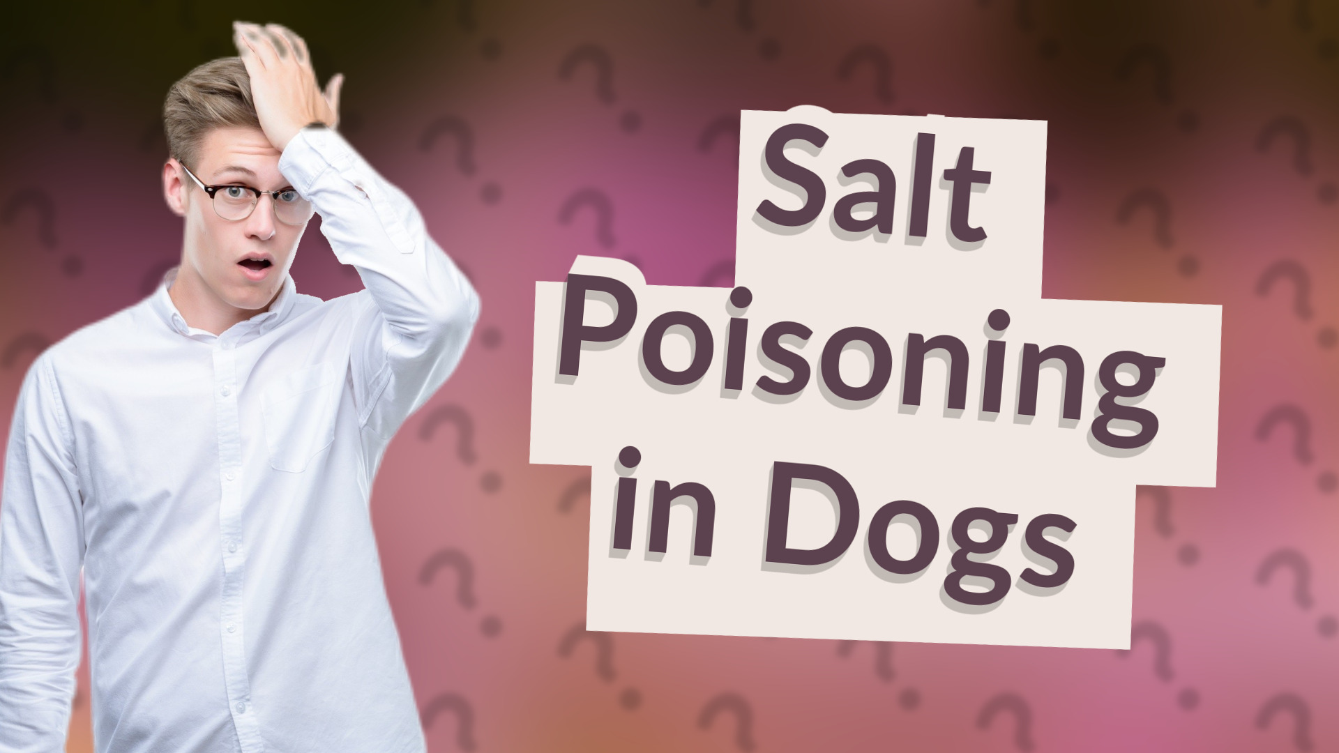 Salt Poisoning in Dogs