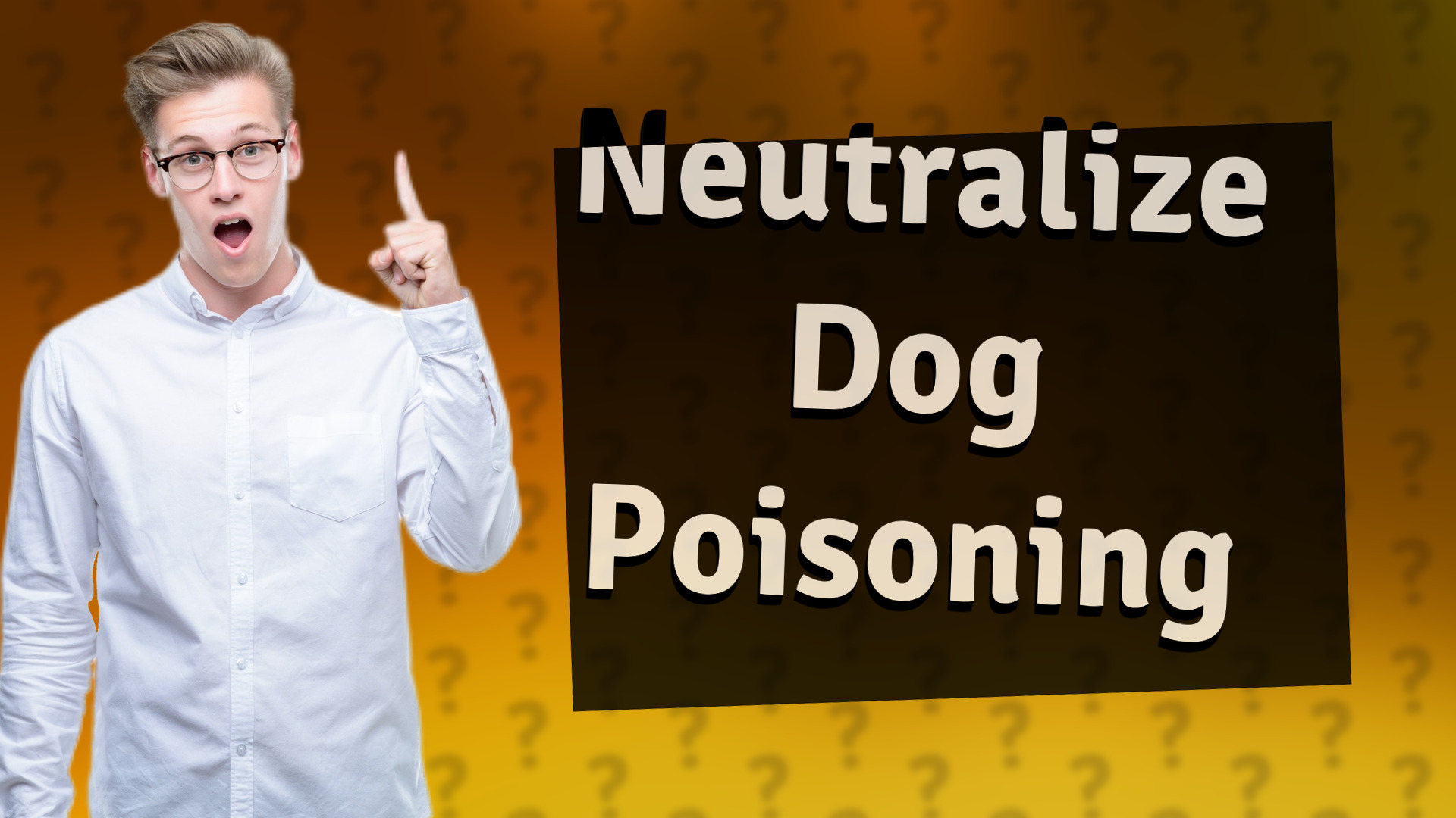 Neutralize Dog Poisoning