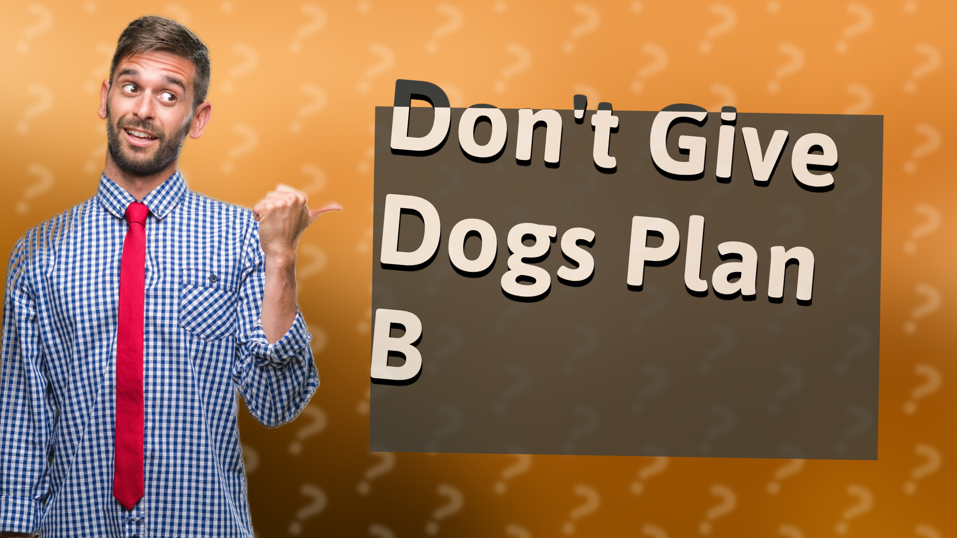 Don't Give Dogs Plan B