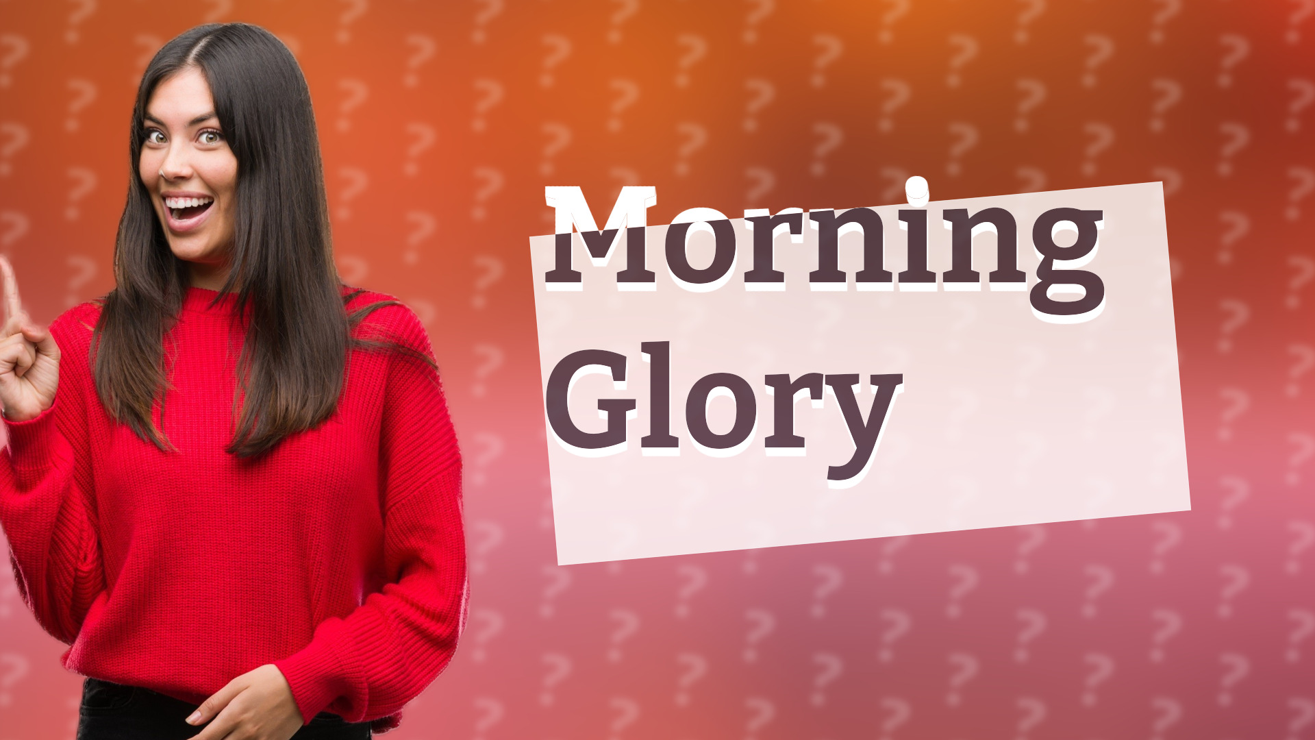 Morning Glory