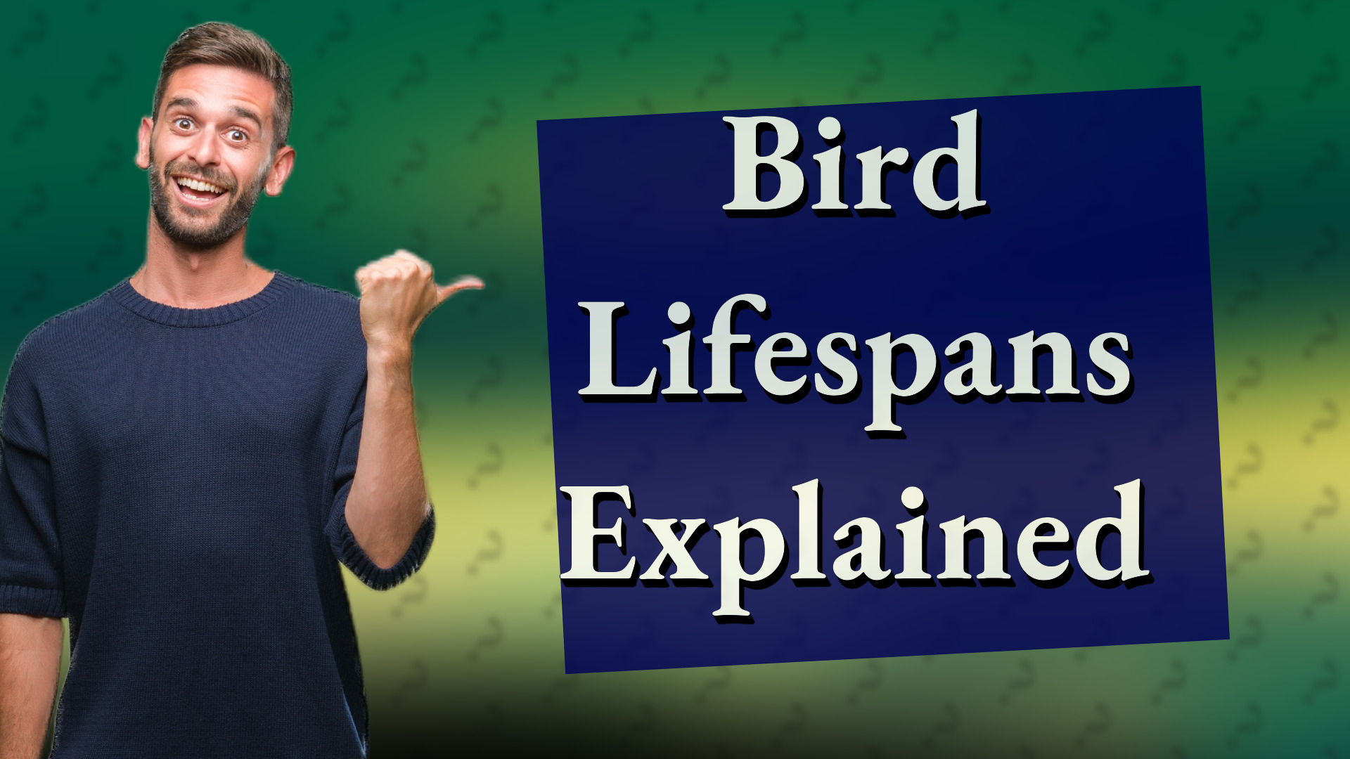 Bird Lifespans Explained