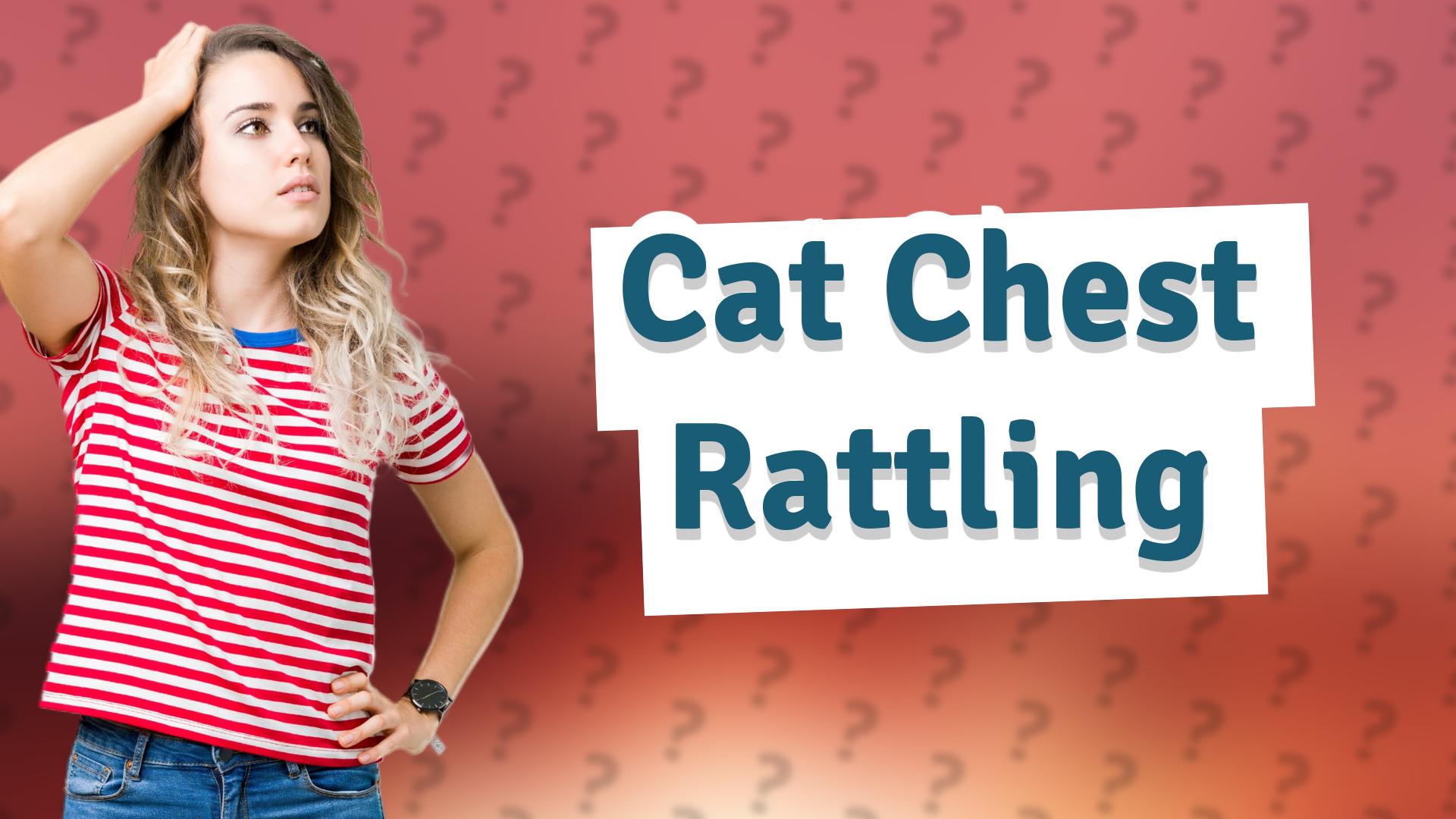 Cat Chest Rattling