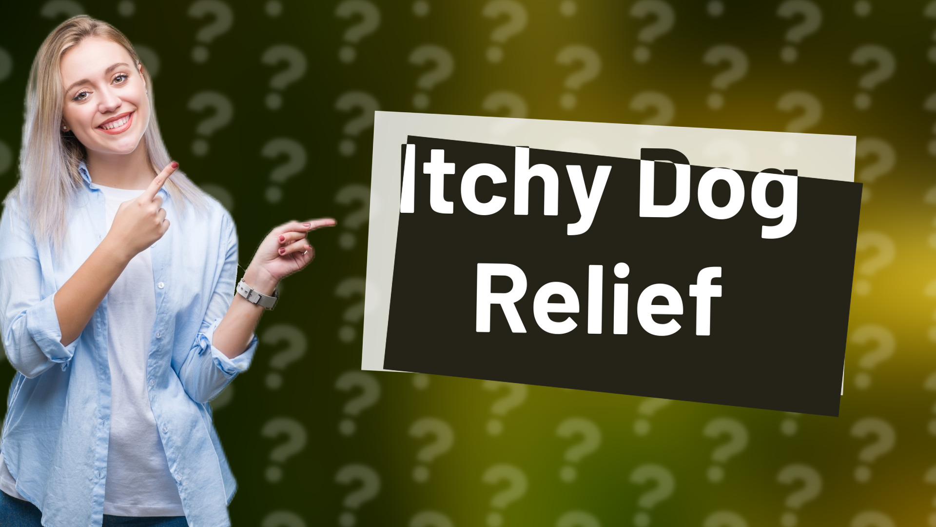 Itchy Dog Relief