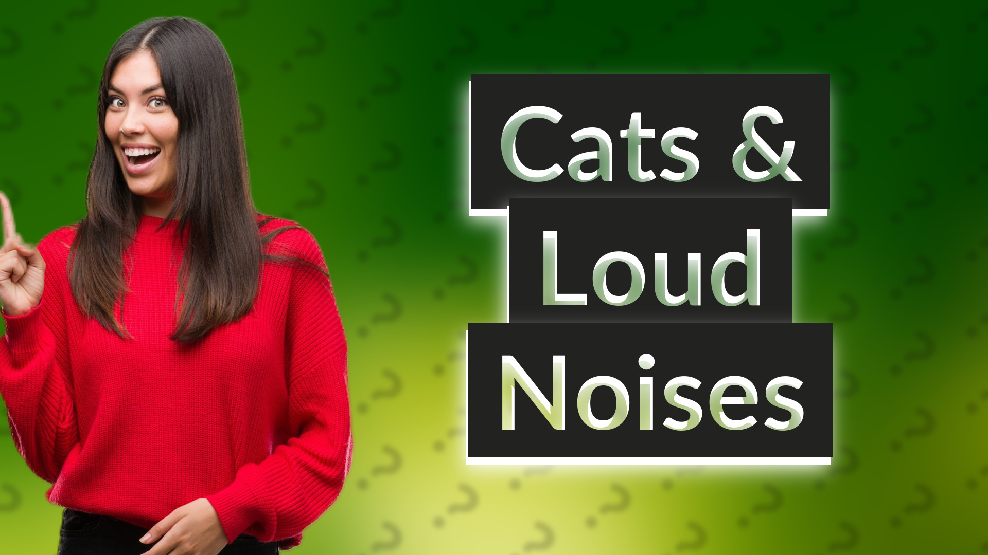 Cats & Loud Noises