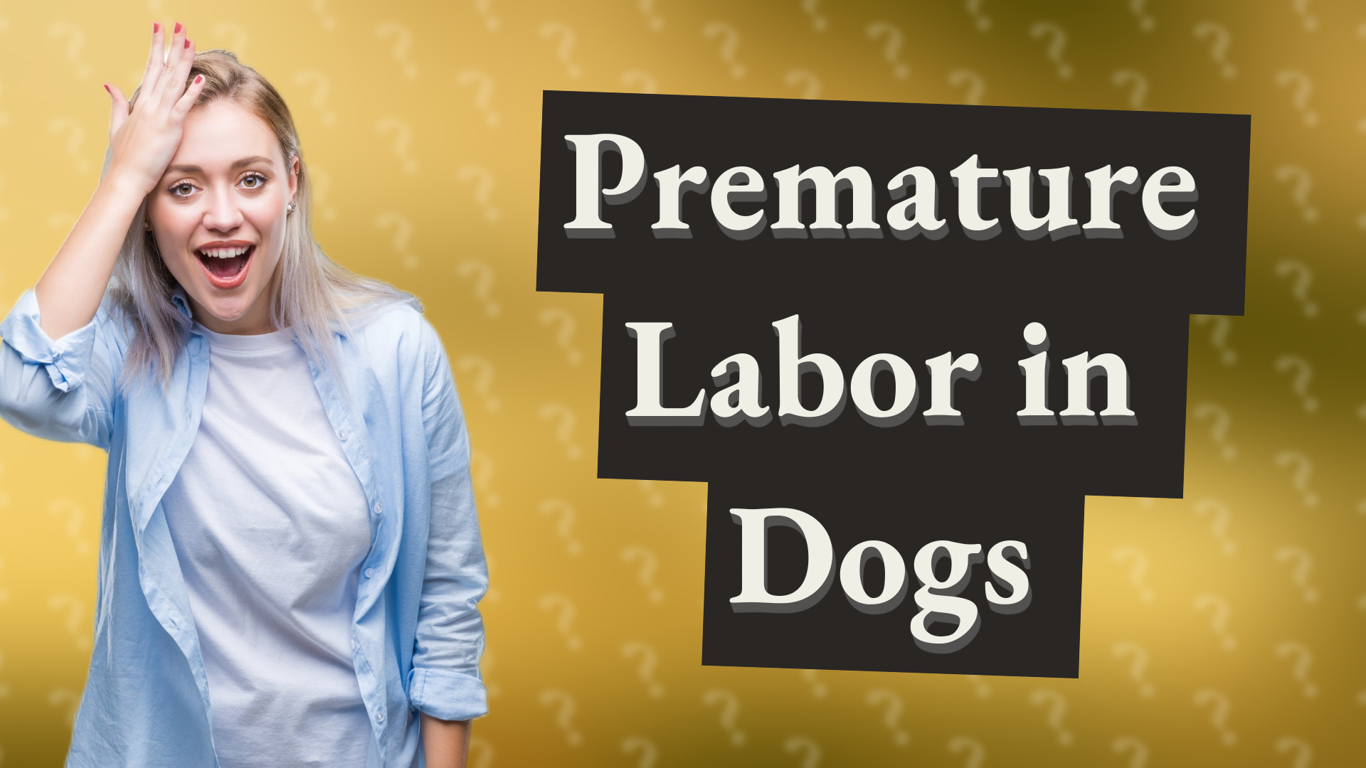 Premature Labor in Dogs