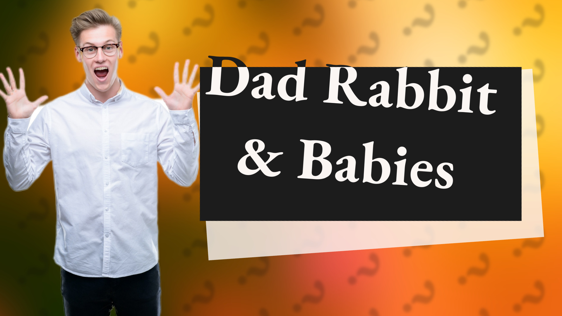 Dad Rabbit & Babies