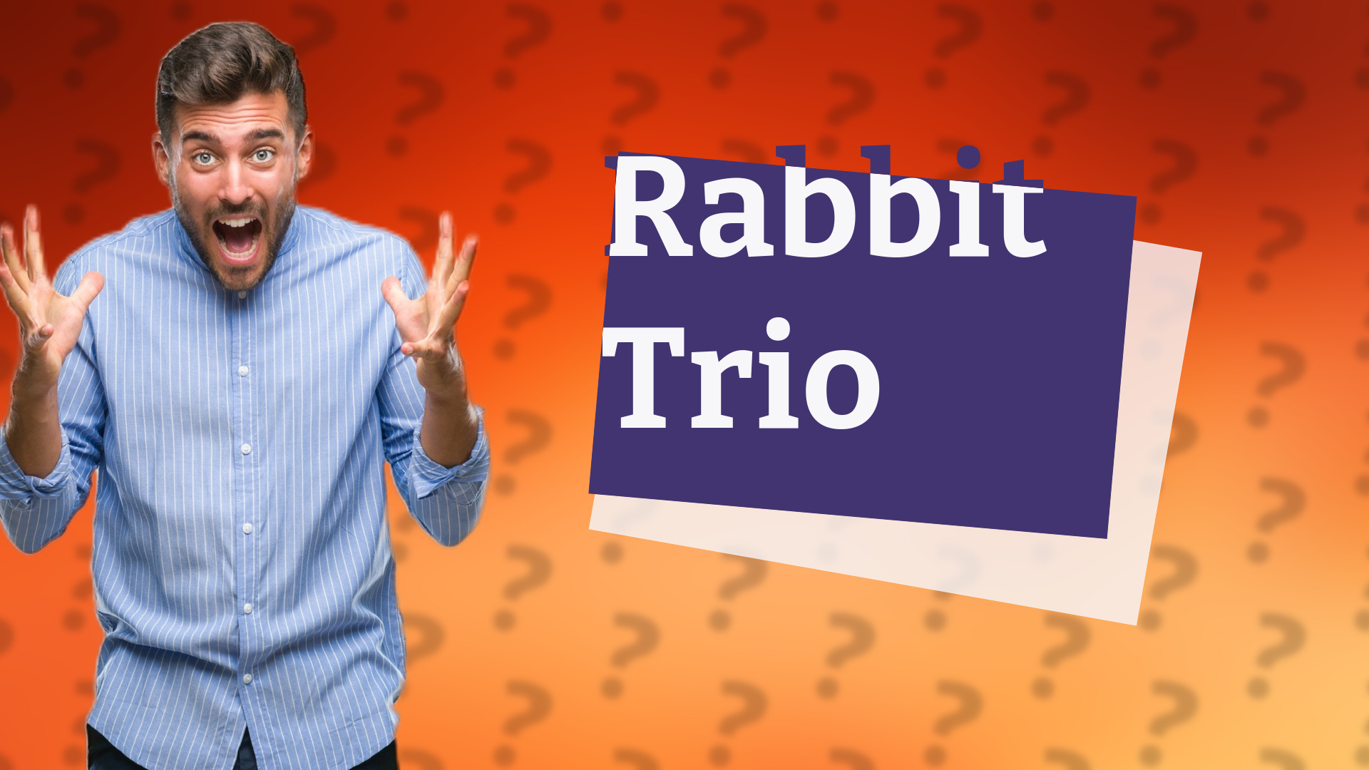 Rabbit Trio