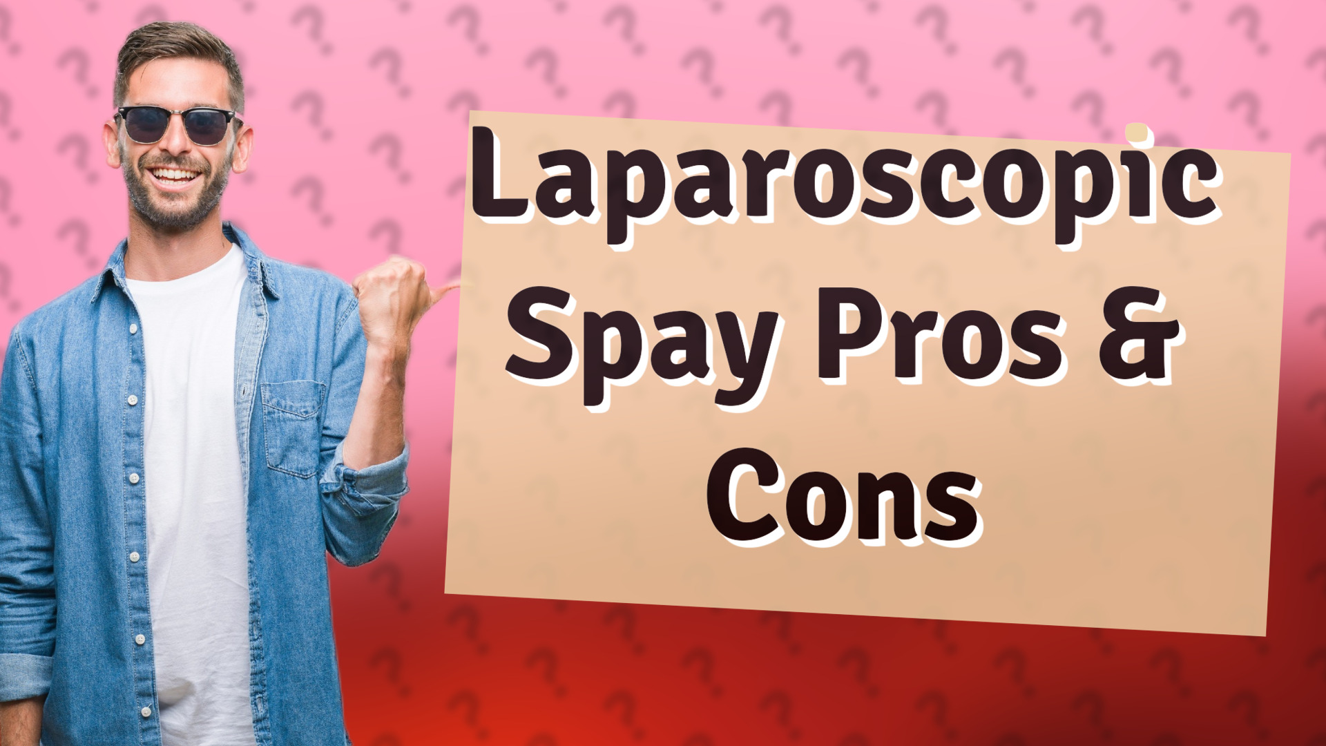 Laparoscopic Spay Pros & Cons
