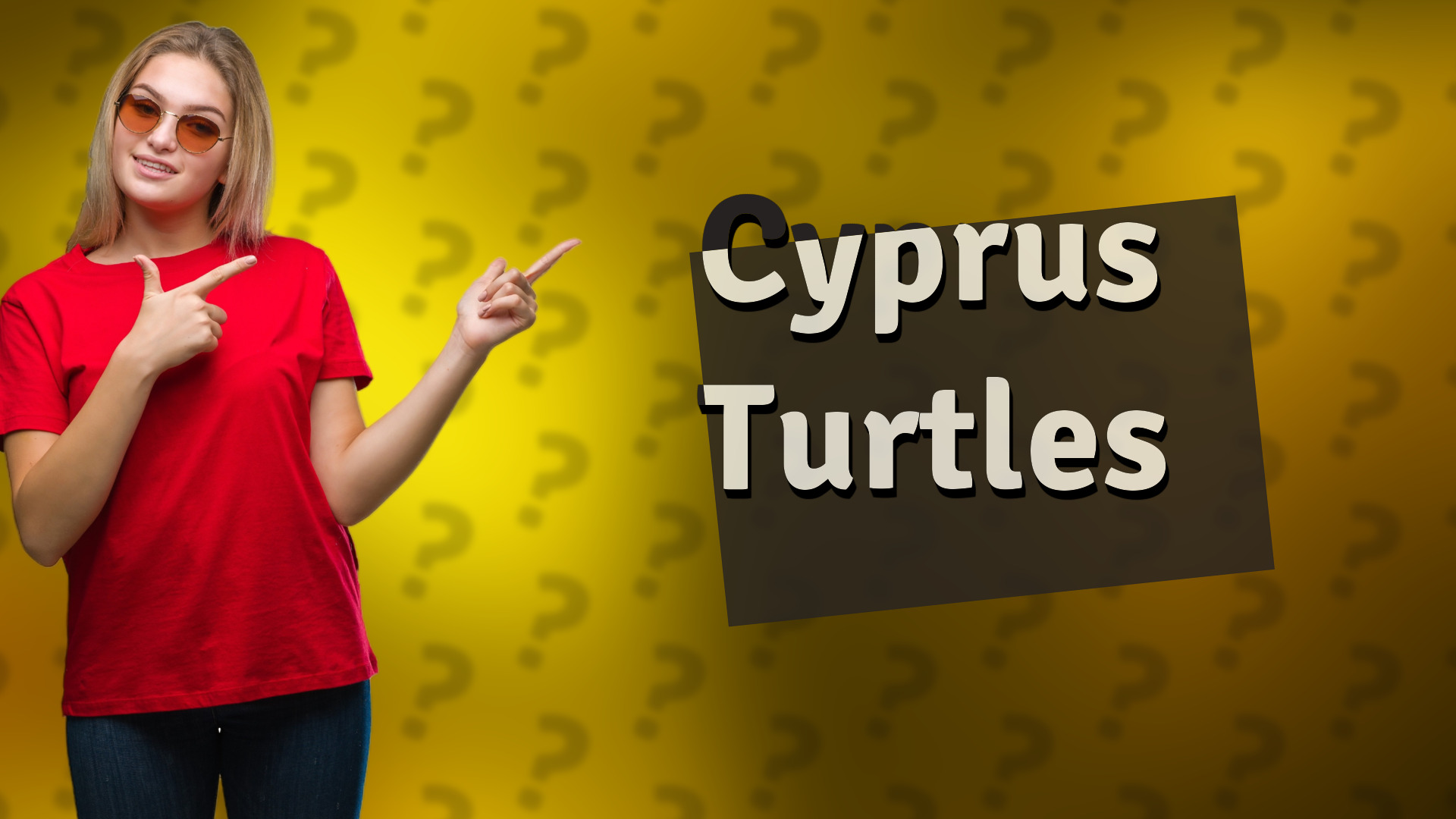 Cyprus Turtles